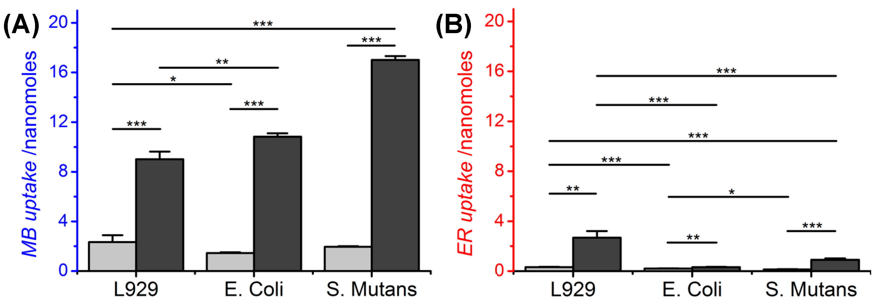 Pharmaceutics 12 00711 g001