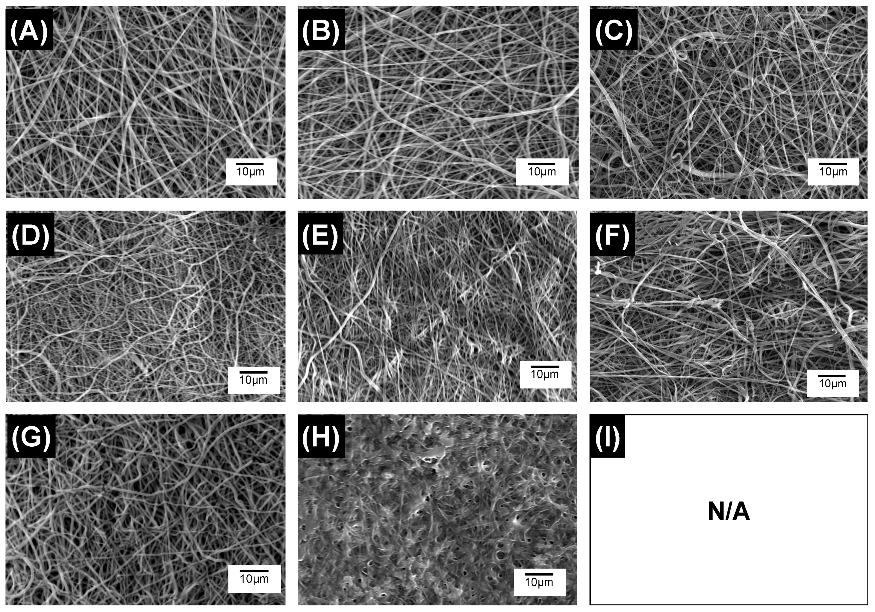 Pharmaceutics 12 00711 g007