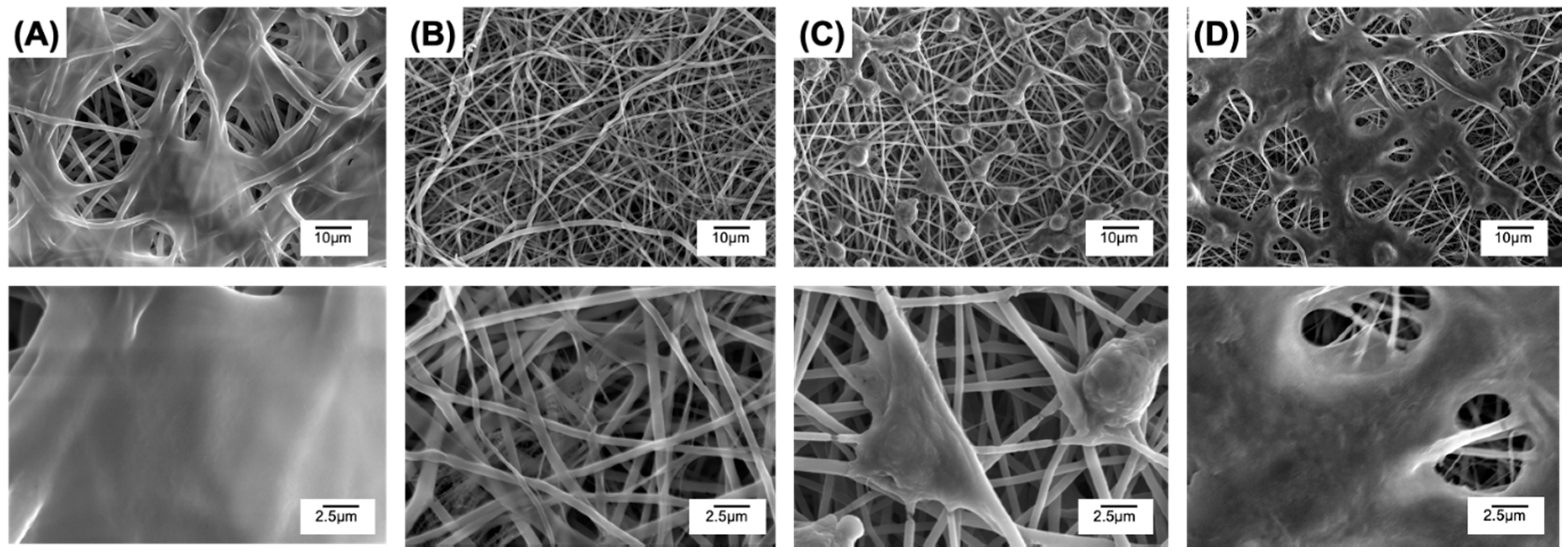Pharmaceutics 12 00711 g009