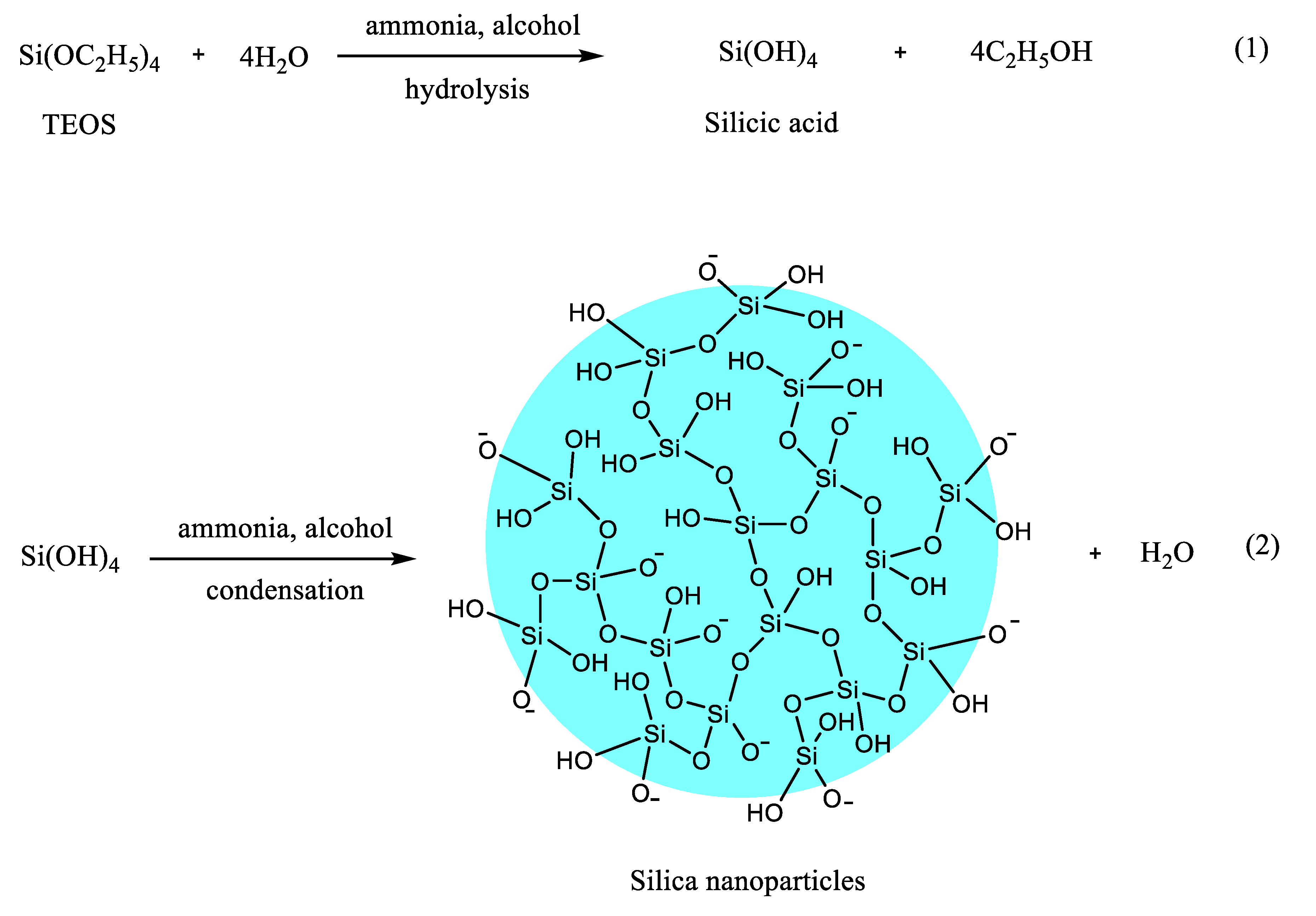 Pharmaceutics 12 00751 g002
