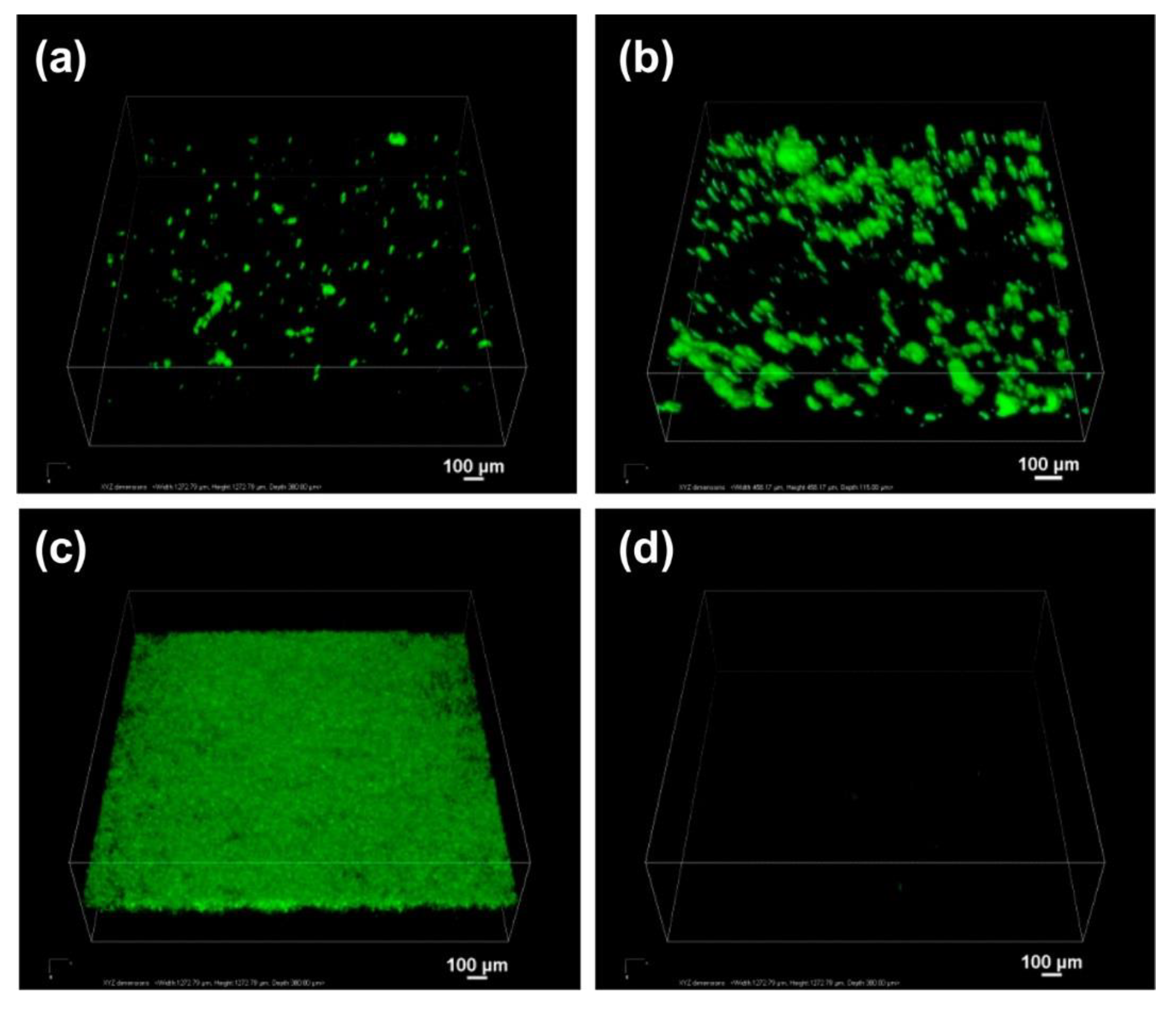Pharmaceutics 12 00751 g006
