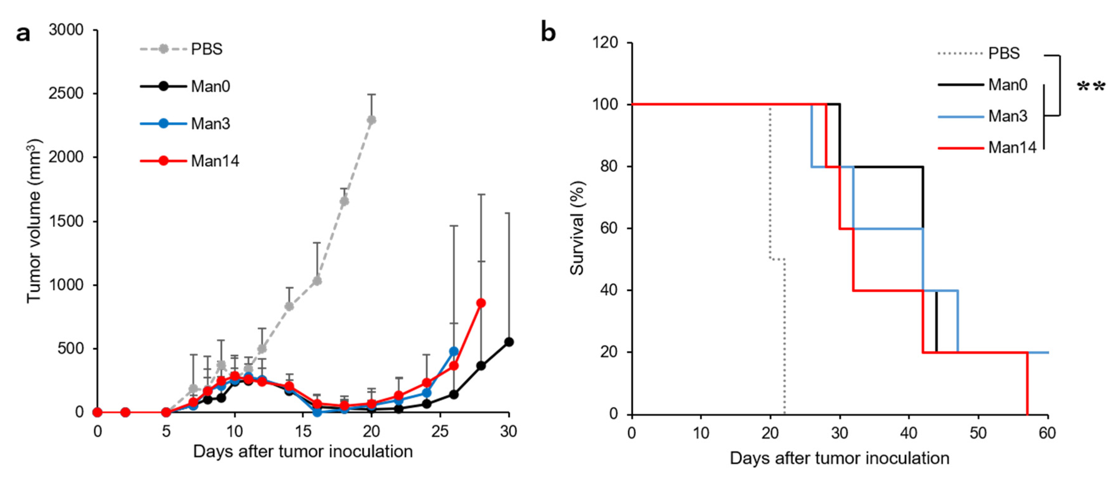 Pharmaceutics 12 00754 g006 Pharmaceutics 12 00754 g006