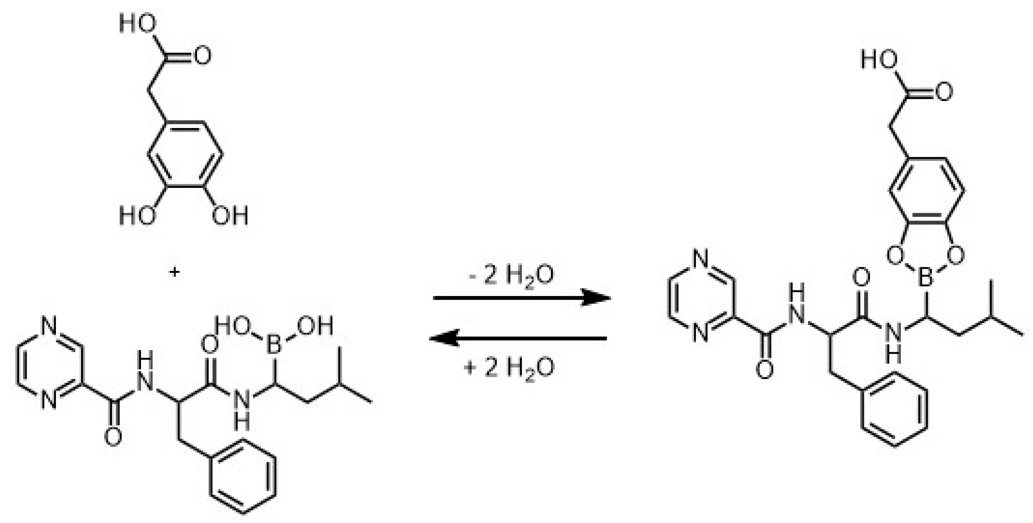 Pharmaceutics 12 00799 g003 Pharmaceutics 12 00799 g003