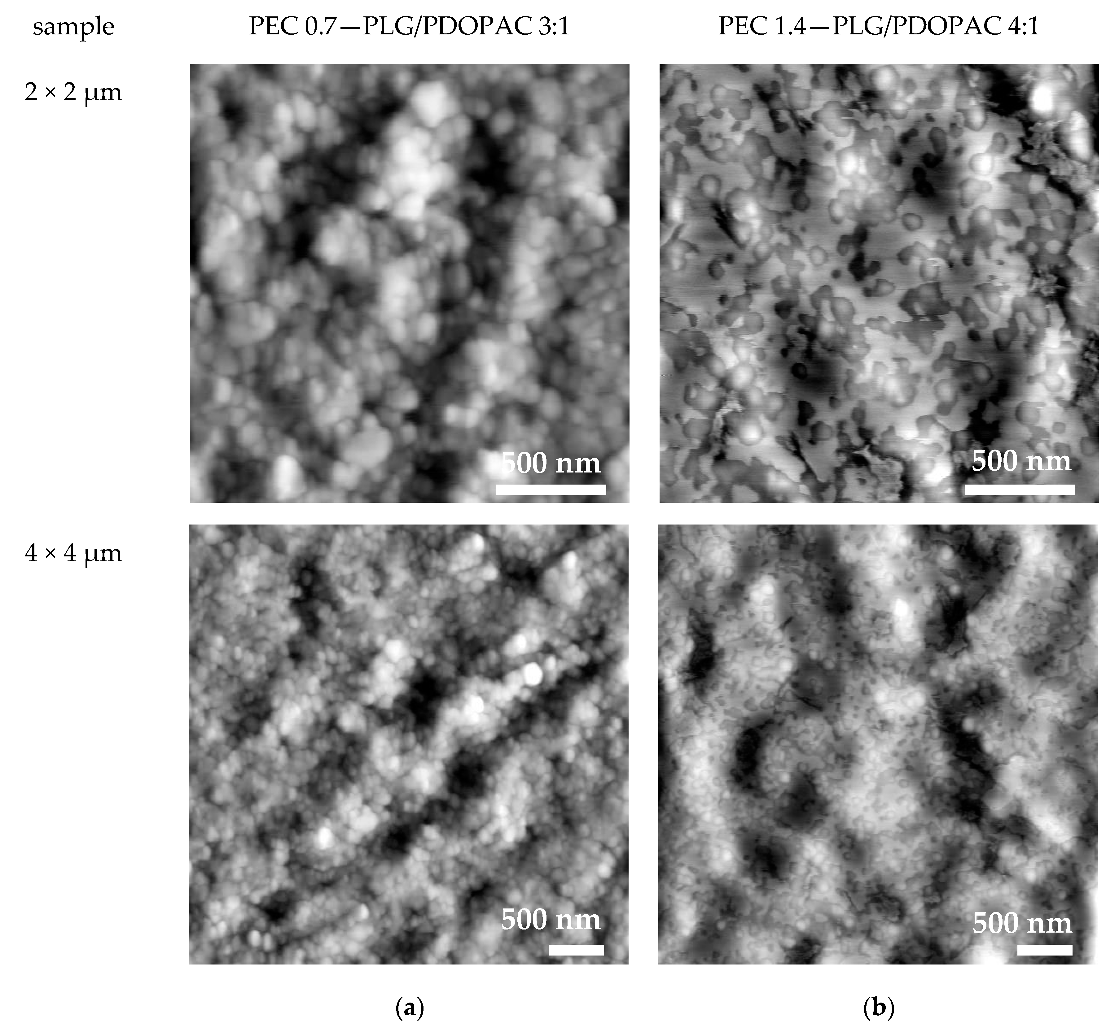 Pharmaceutics 12 00799 g005 Pharmaceutics 12 00799 g005