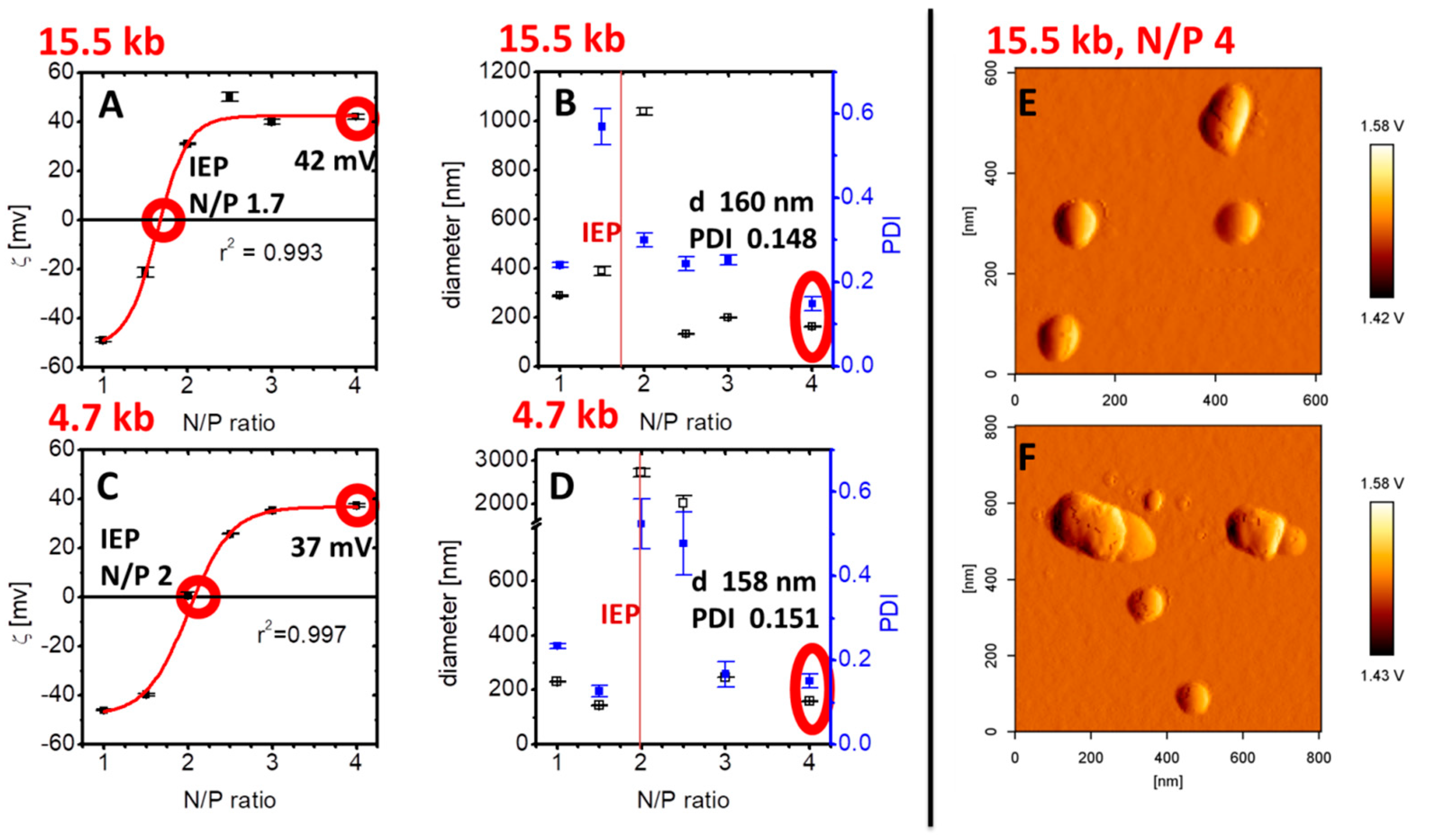 Pharmaceutics 12 00805 g002 Pharmaceutics 12 00805 g002