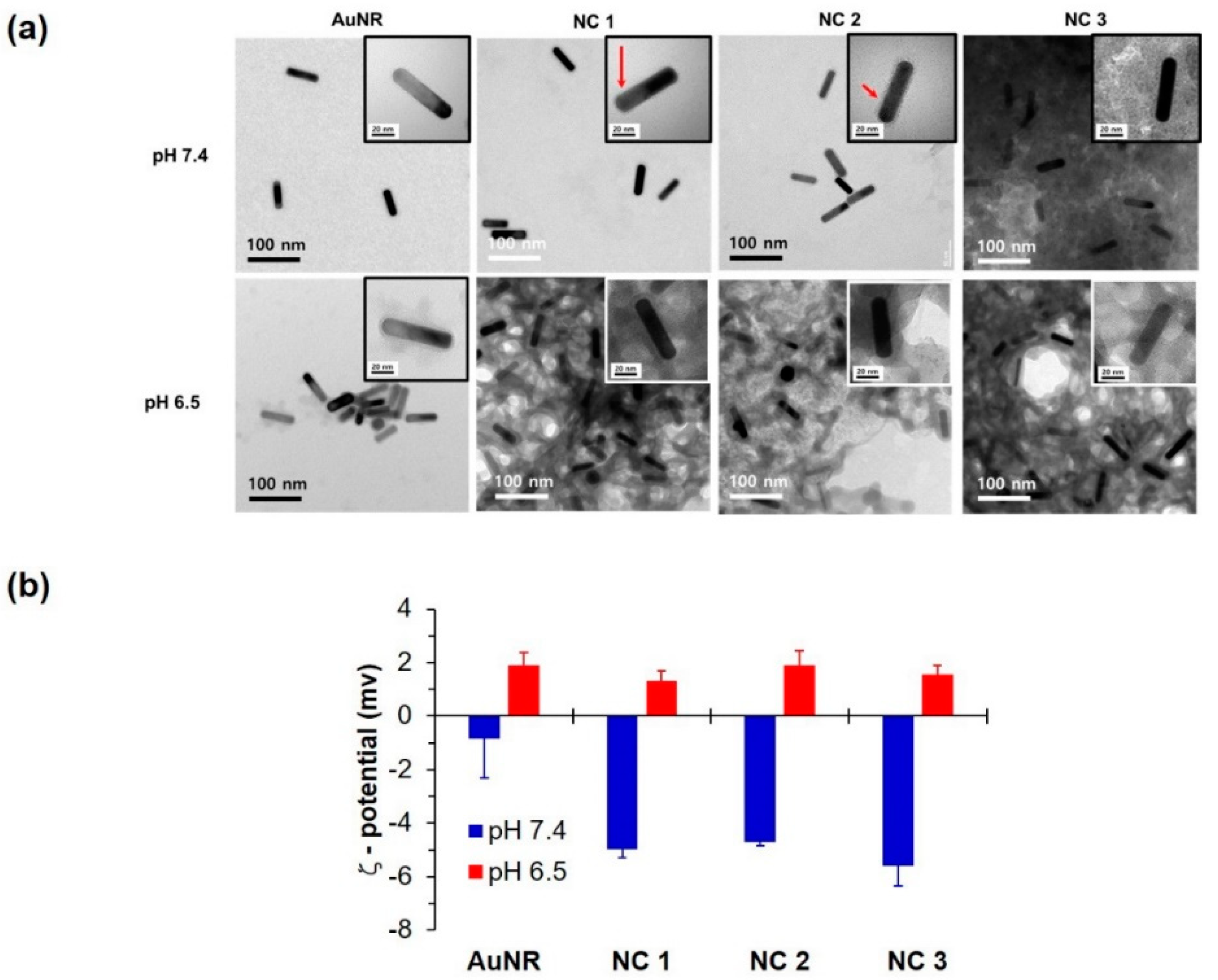 Pharmaceutics 12 00839 g001