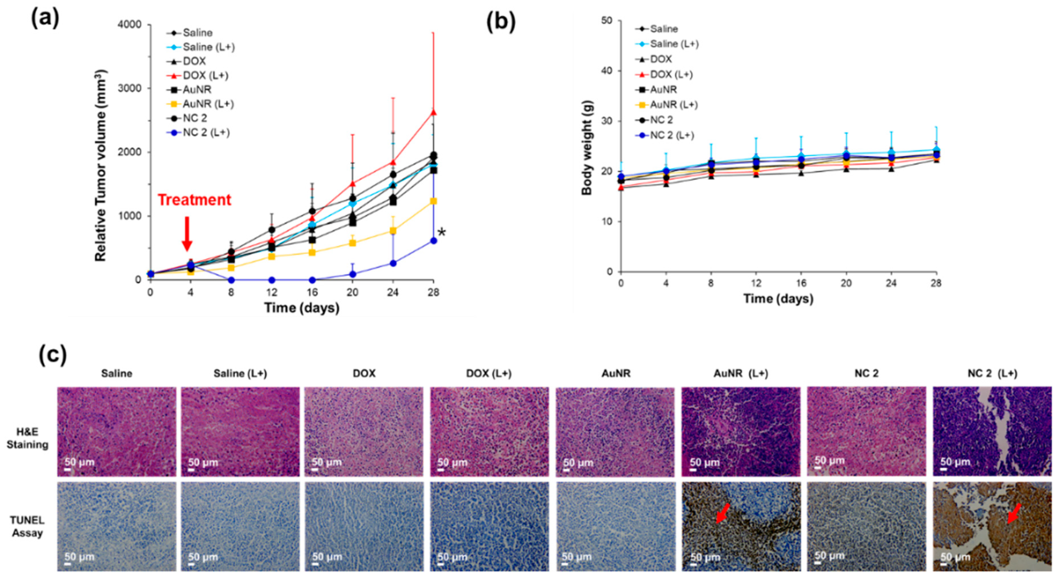 Pharmaceutics 12 00839 g005