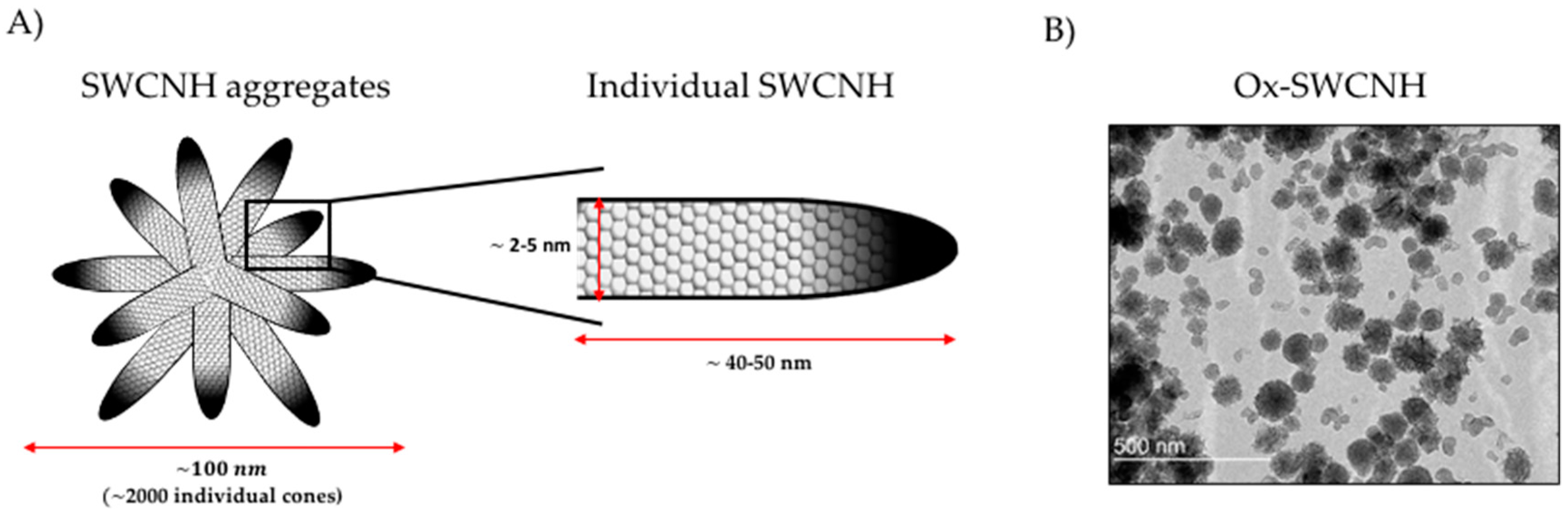 Pharmaceutics 12 00850 g001