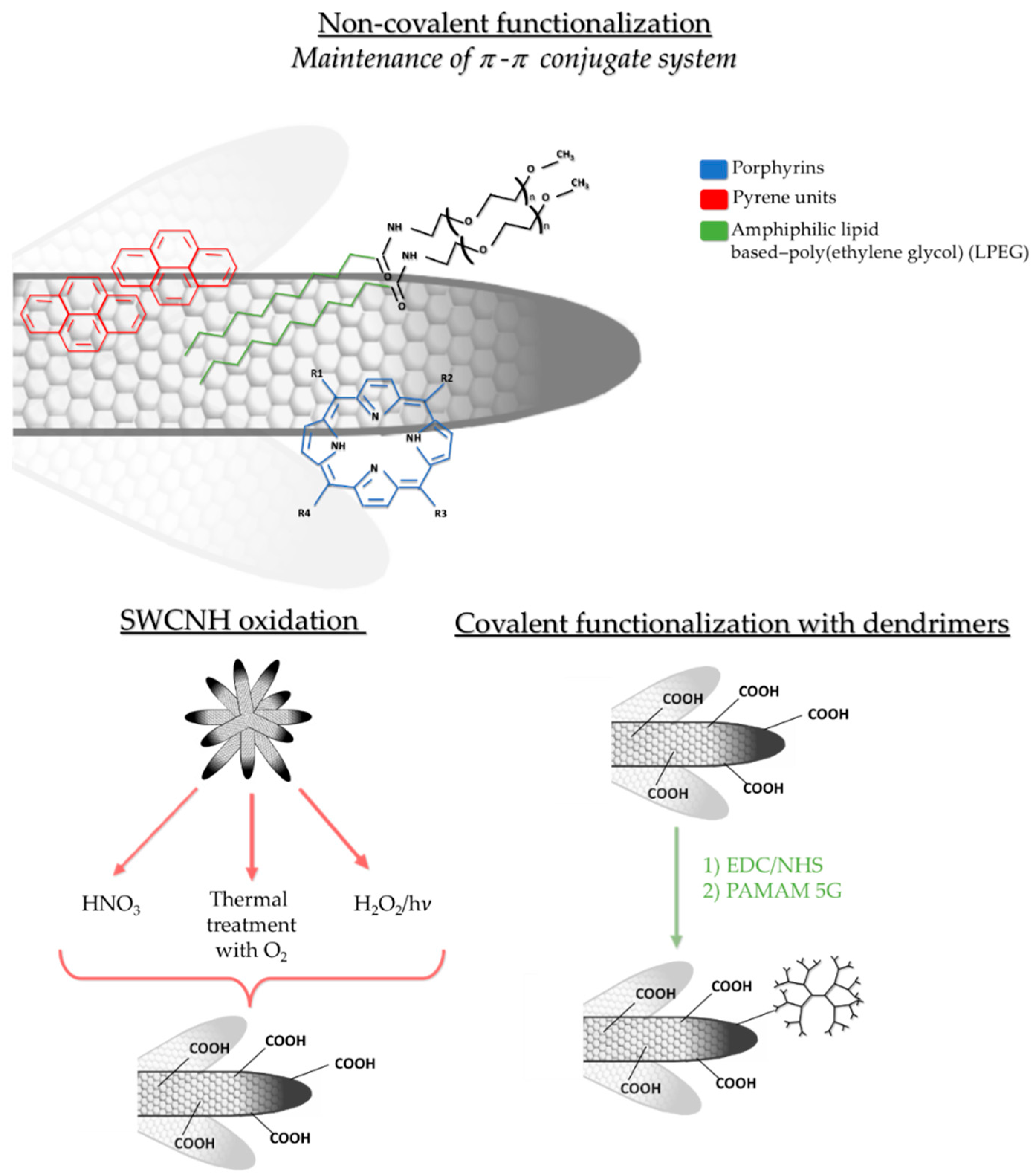 Pharmaceutics 12 00850 g002