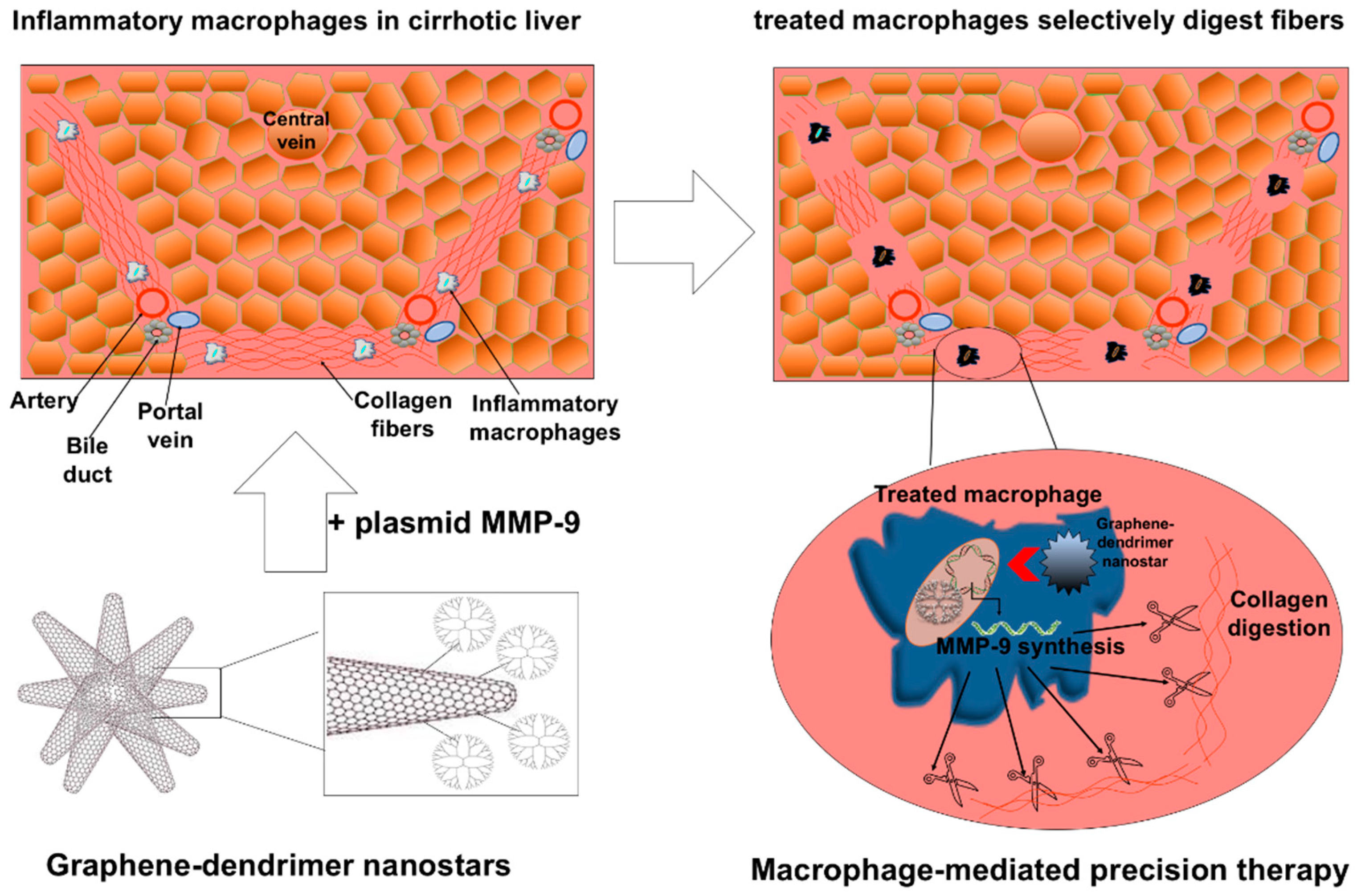 Pharmaceutics 12 00850 g004