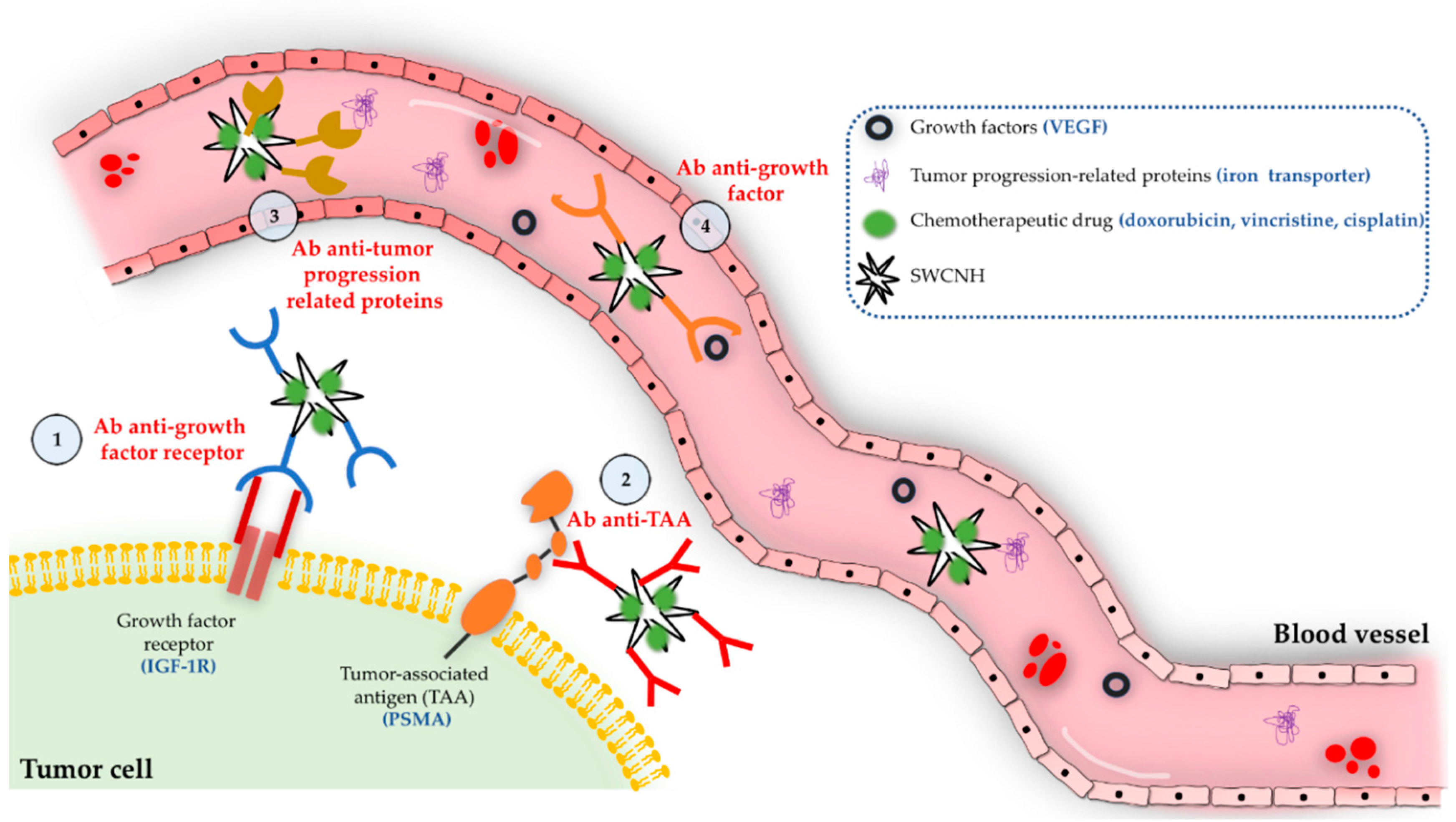 Pharmaceutics 12 00850 g005