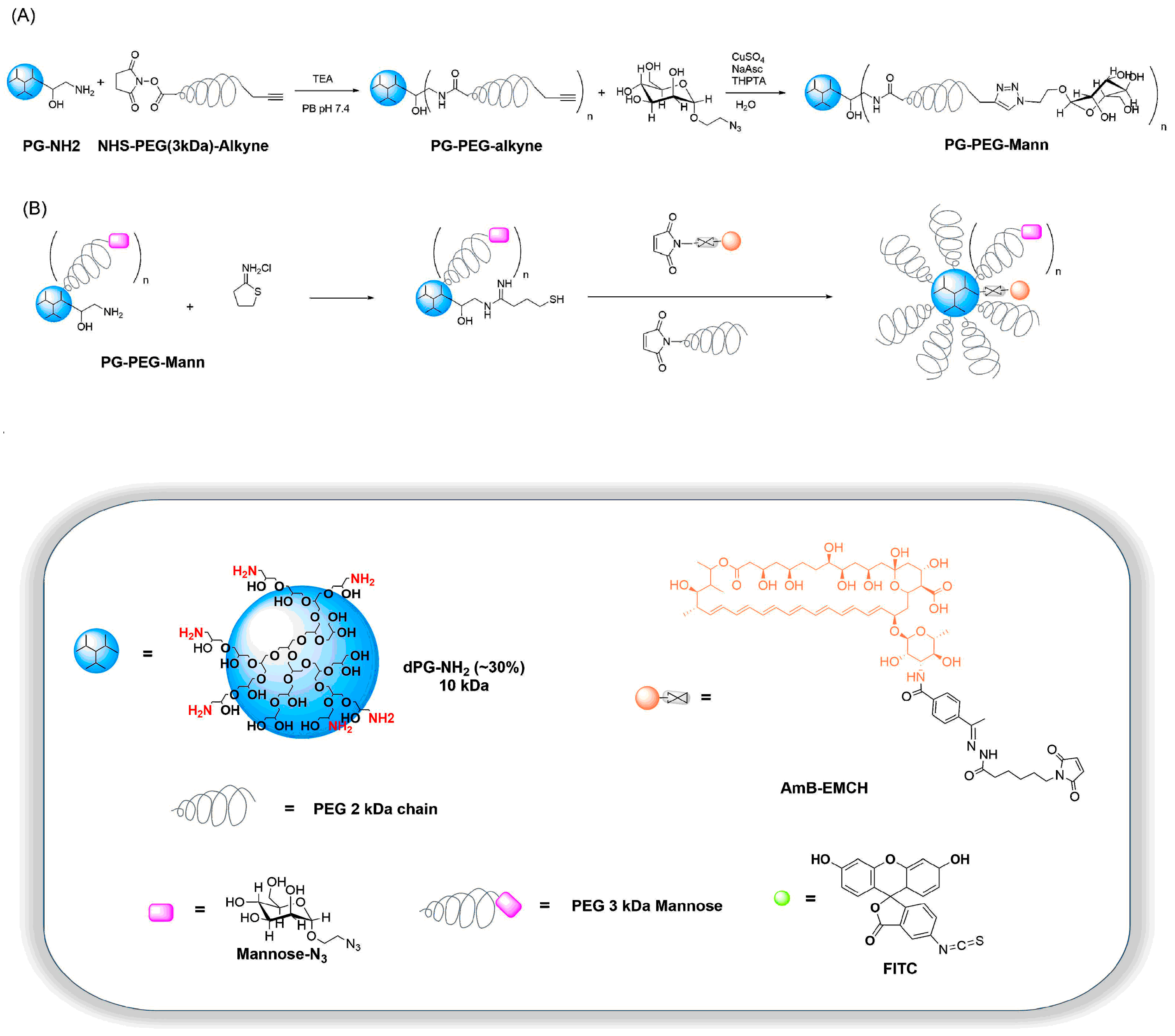Pharmaceutics 12 00915 sch001