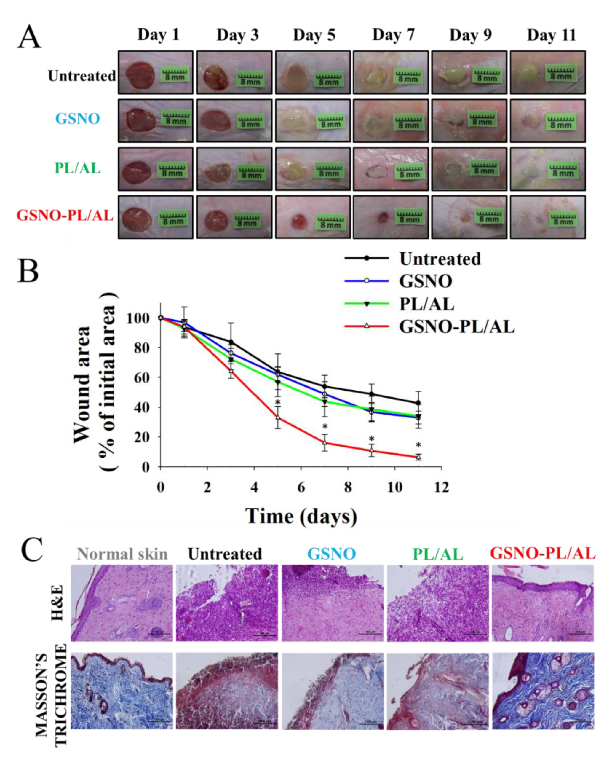 Pharmaceutics 12 00926 g006 Pharmaceutics 12 00926 g006