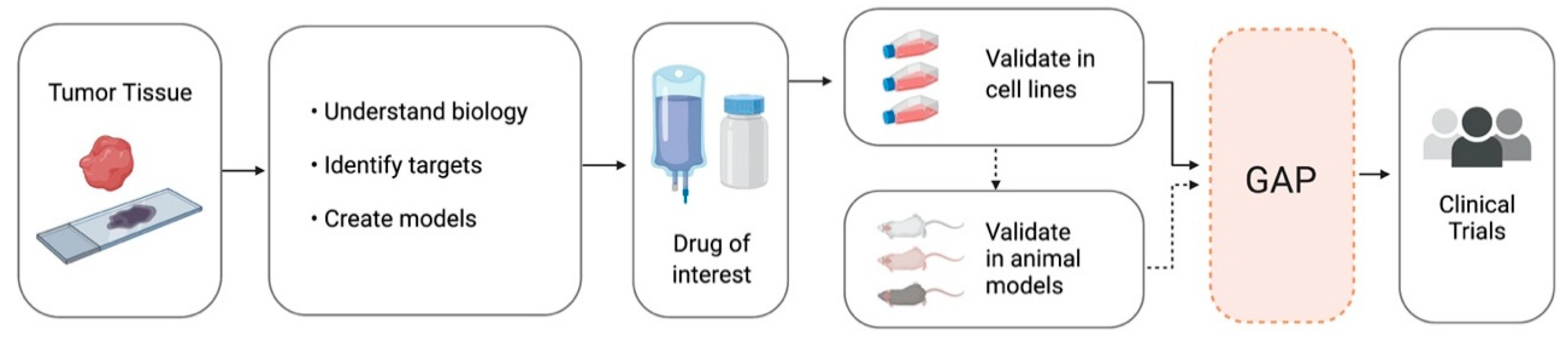 Pharmaceutics 12 00948 g002 Pharmaceutics 12 00948 g002