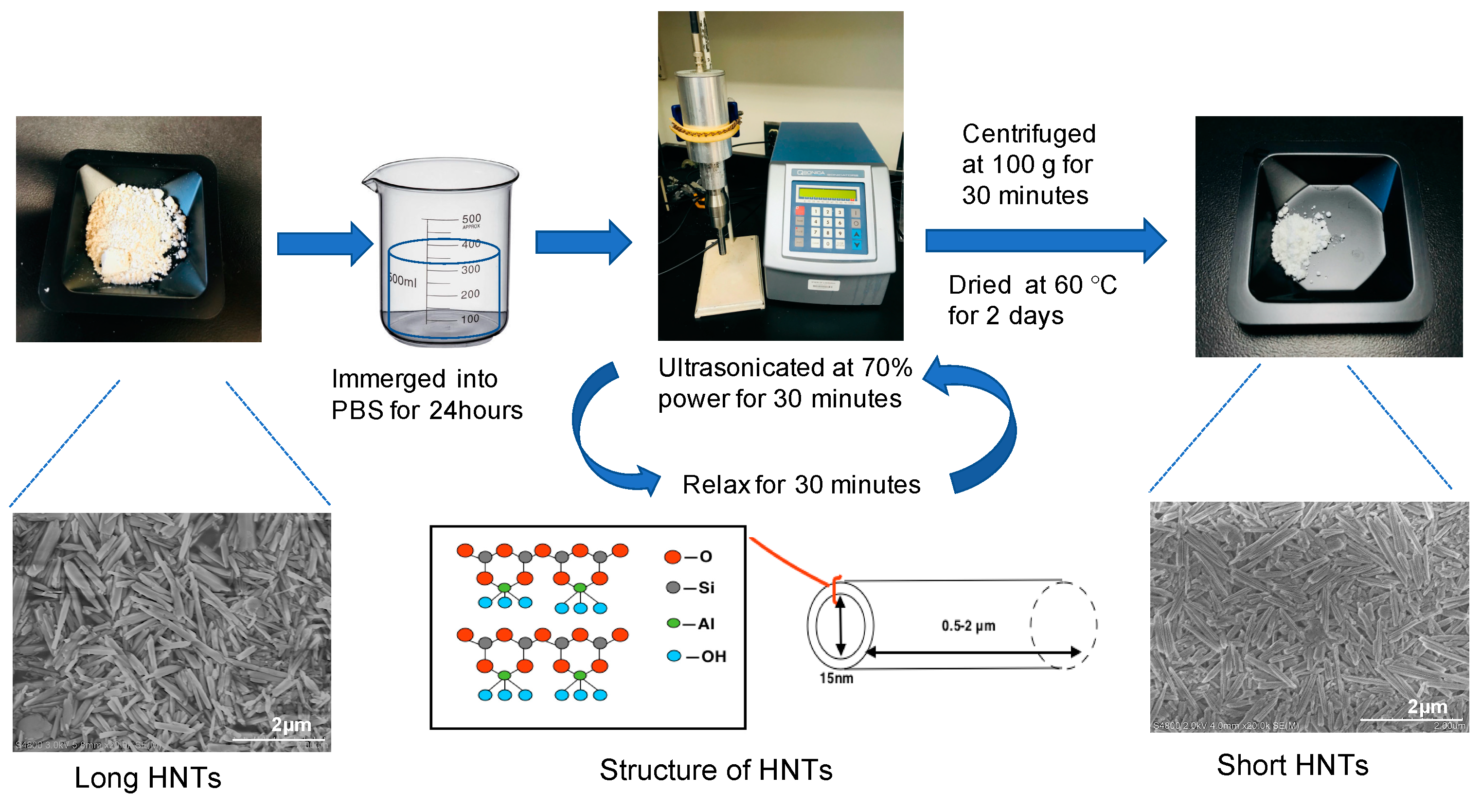 Pharmaceutics 12 00962 g001