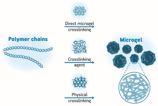 Pharmaceutics | Free Full-Text | An Updated Review of Macro, Micro, and ...