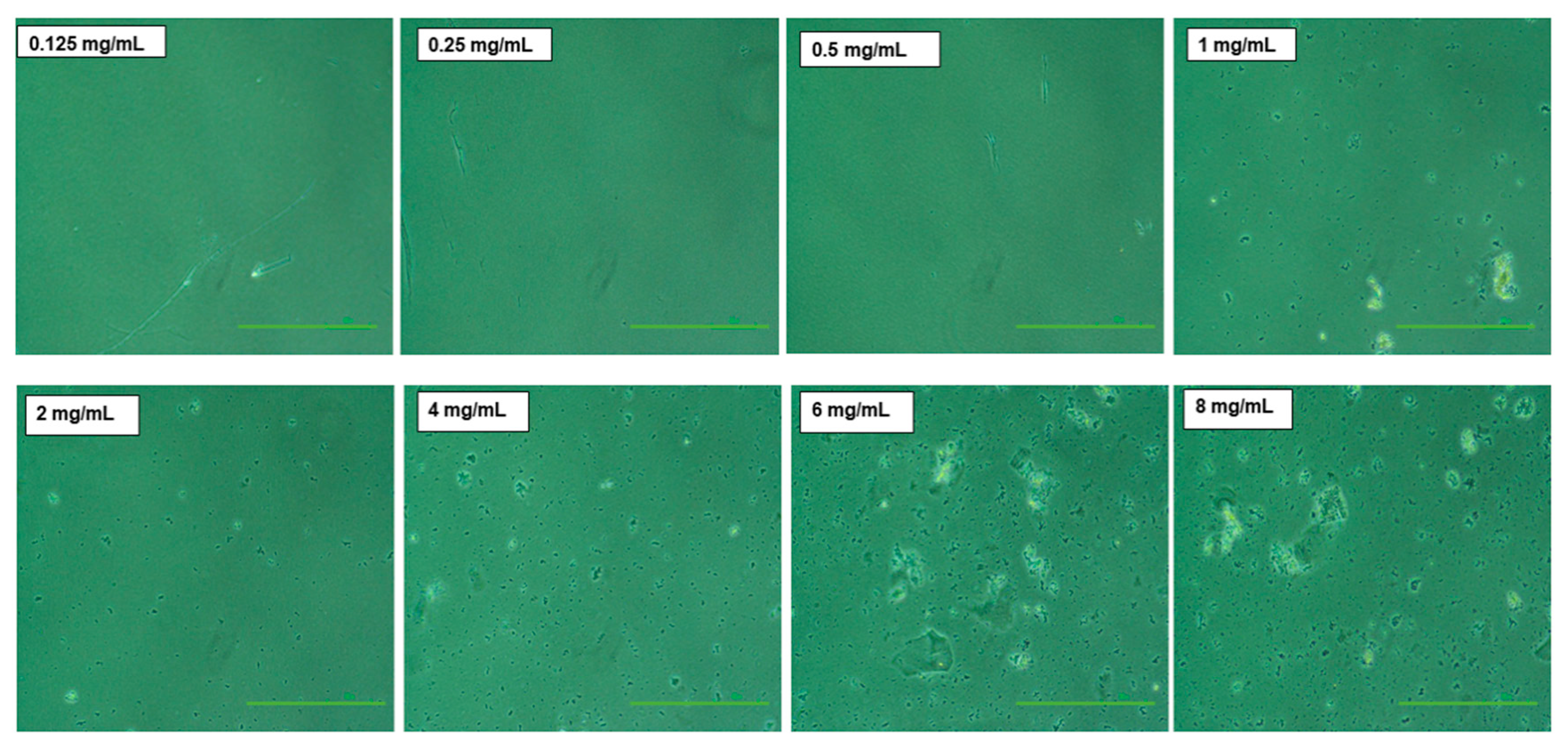 Pharmaceutics 12 00984 g004