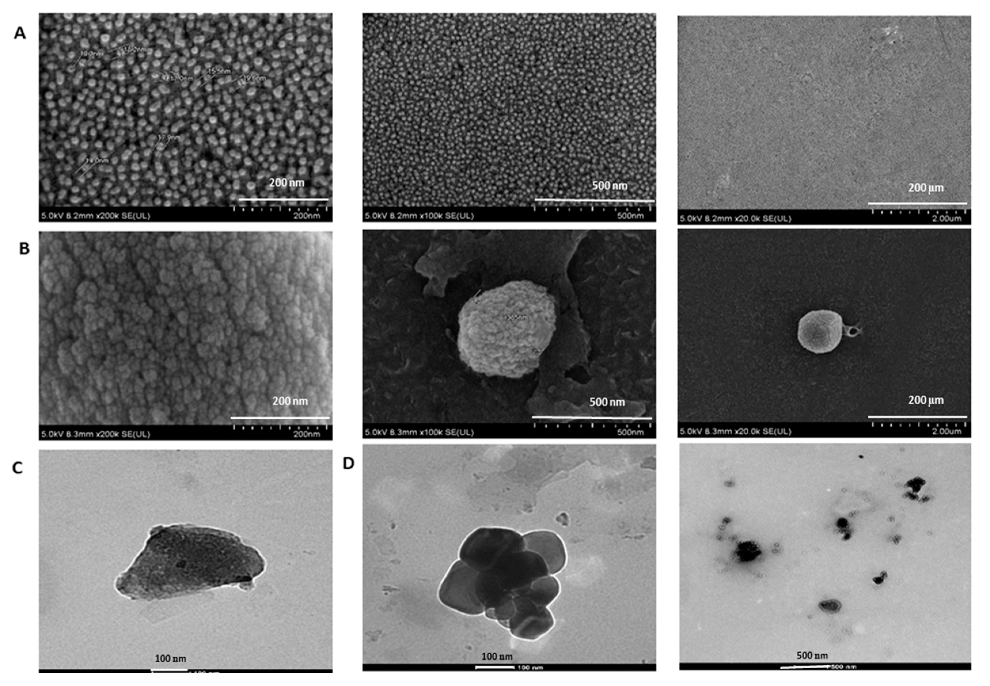 Pharmaceutics 12 00984 g008