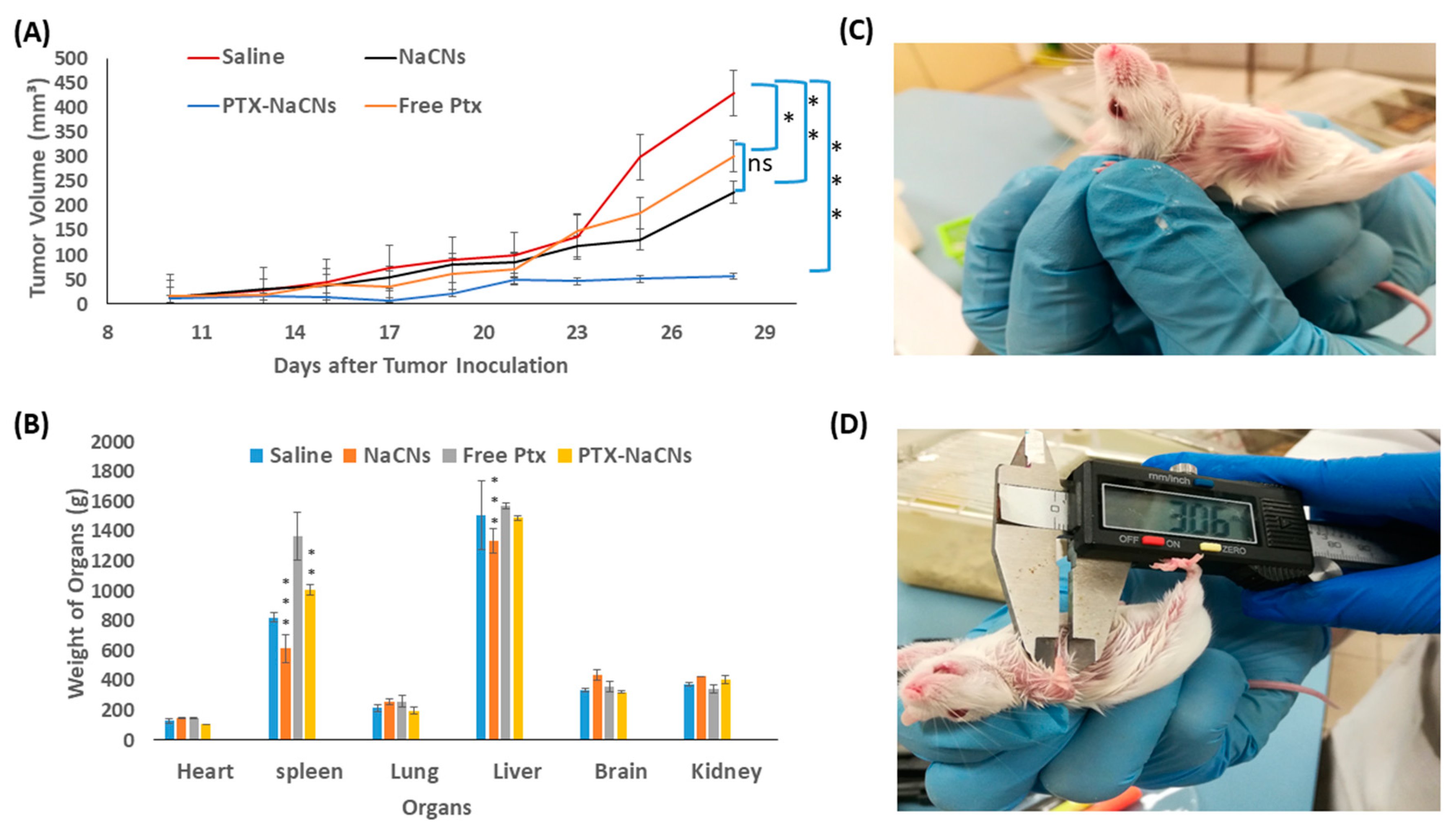 Pharmaceutics 12 00984 g015