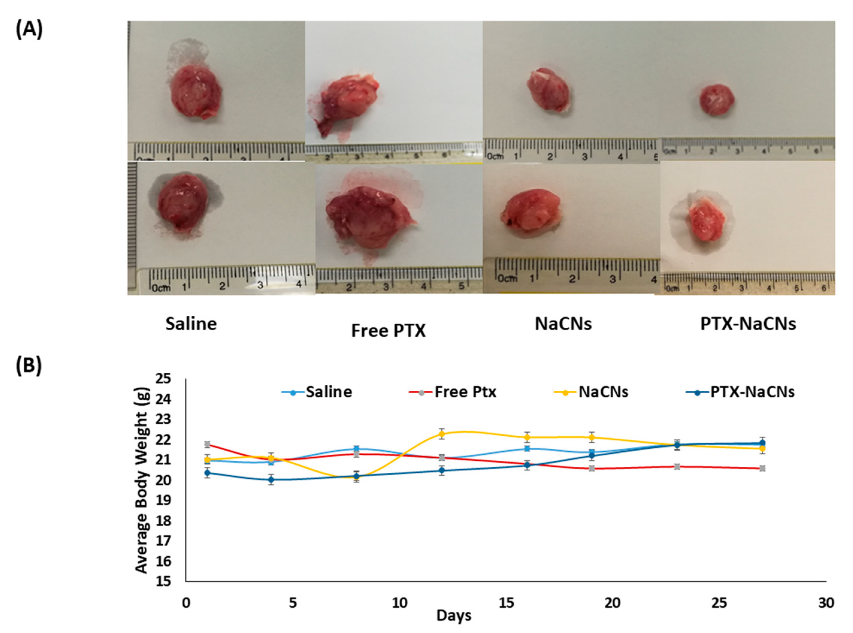 Pharmaceutics 12 00984 g016