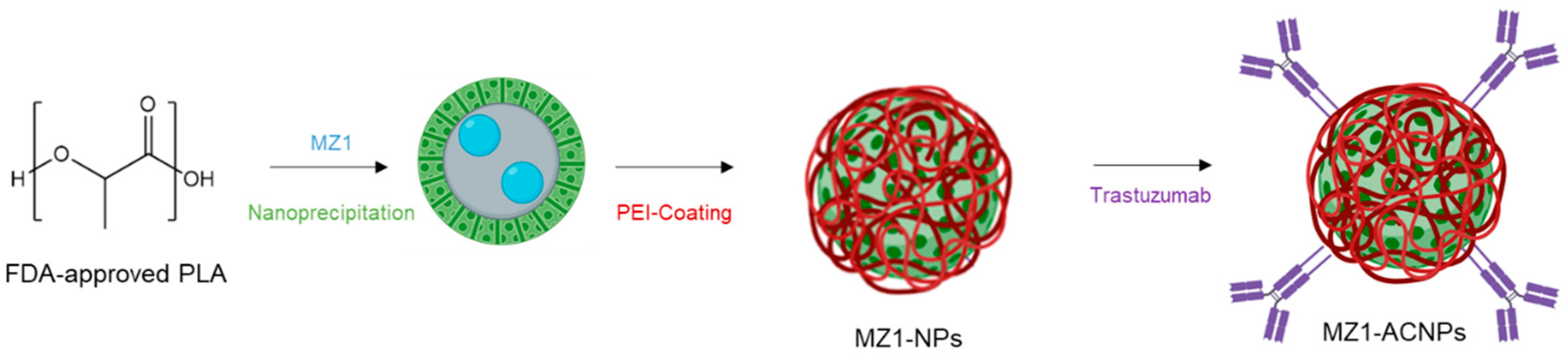 Pharmaceutics 12 00986 sch001