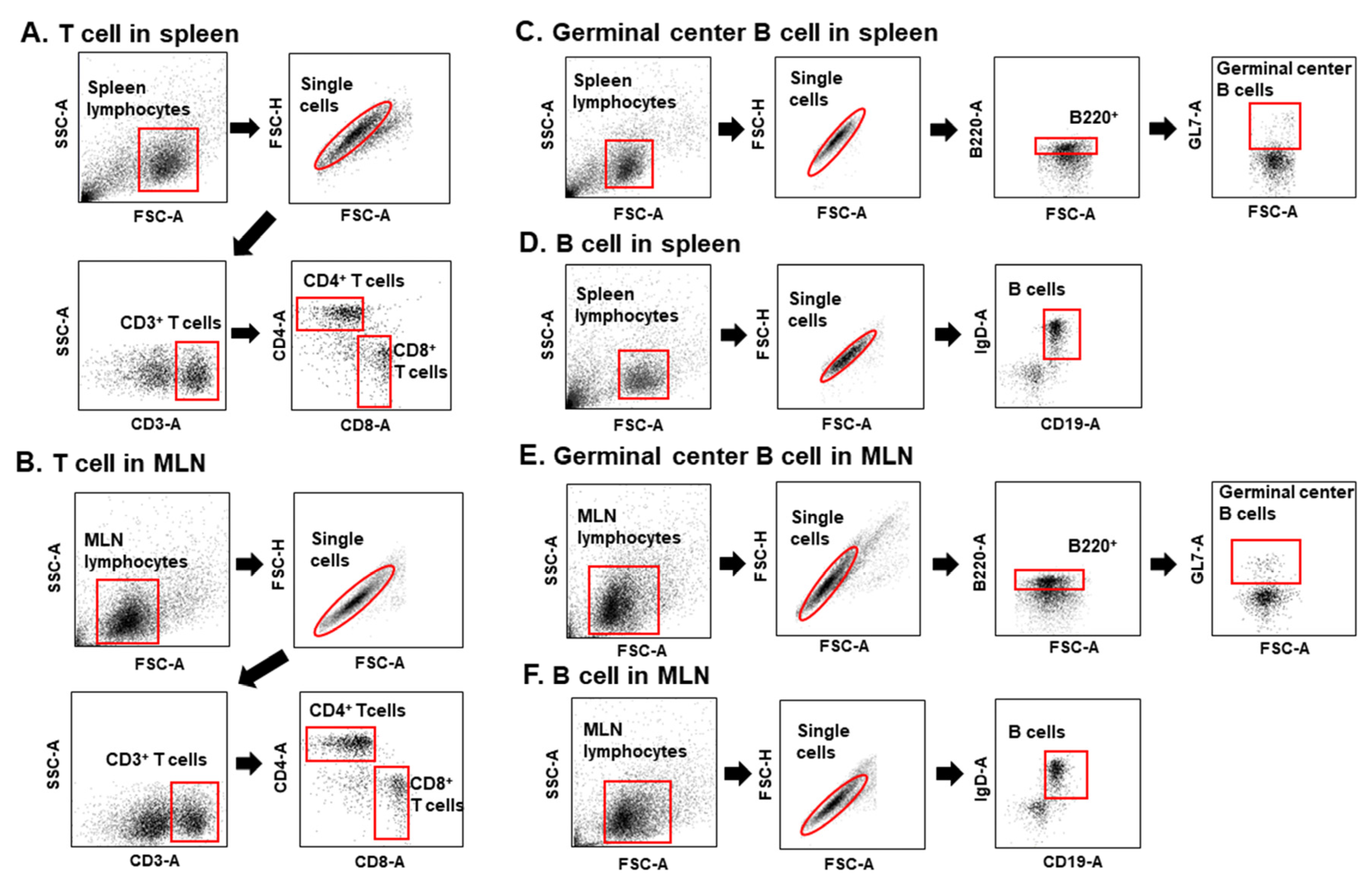 Pharmaceutics 12 00989 g003 Pharmaceutics 12 00989 g003
