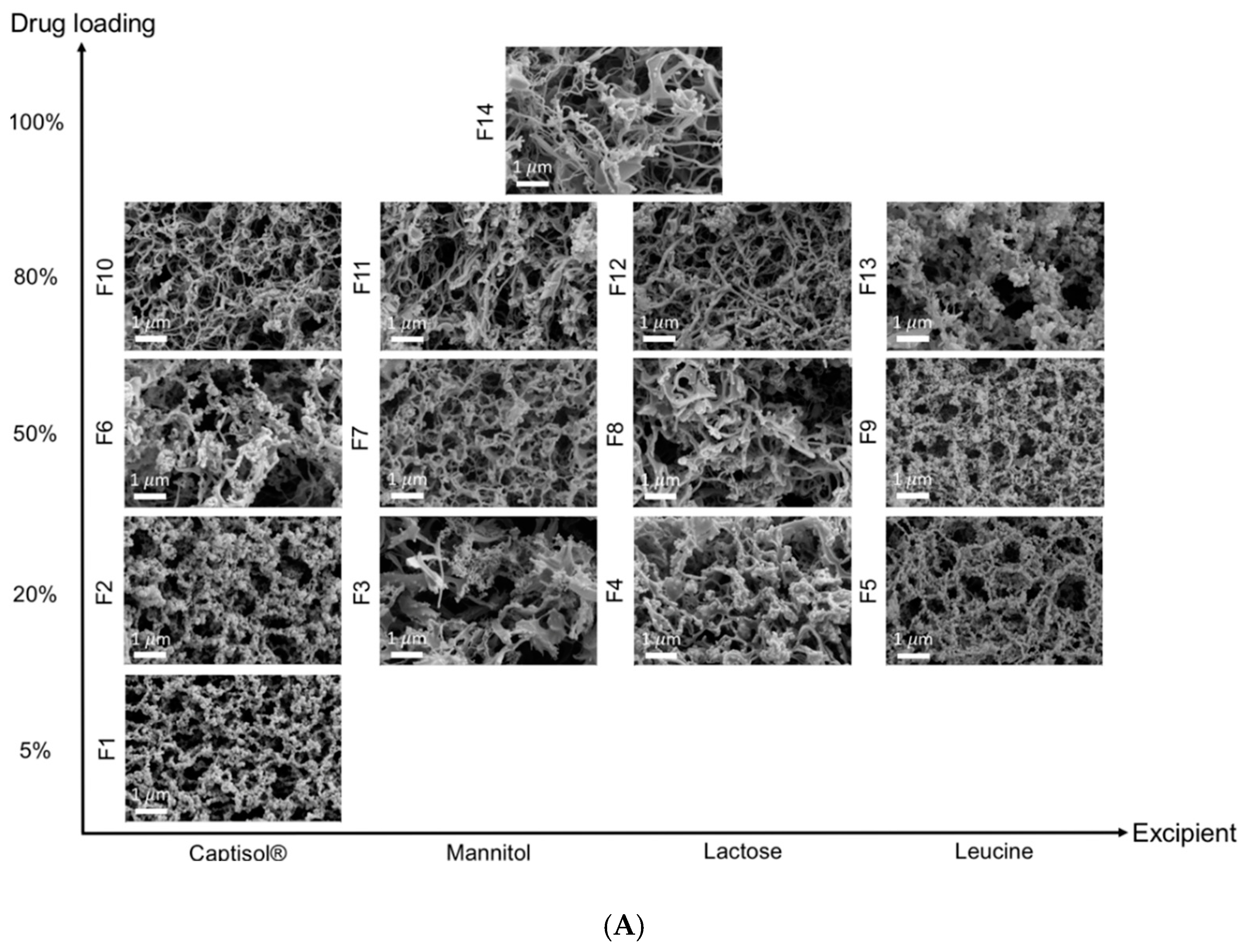 Pharmaceutics 12 01002 g001a Pharmaceutics 12 01002 g001a