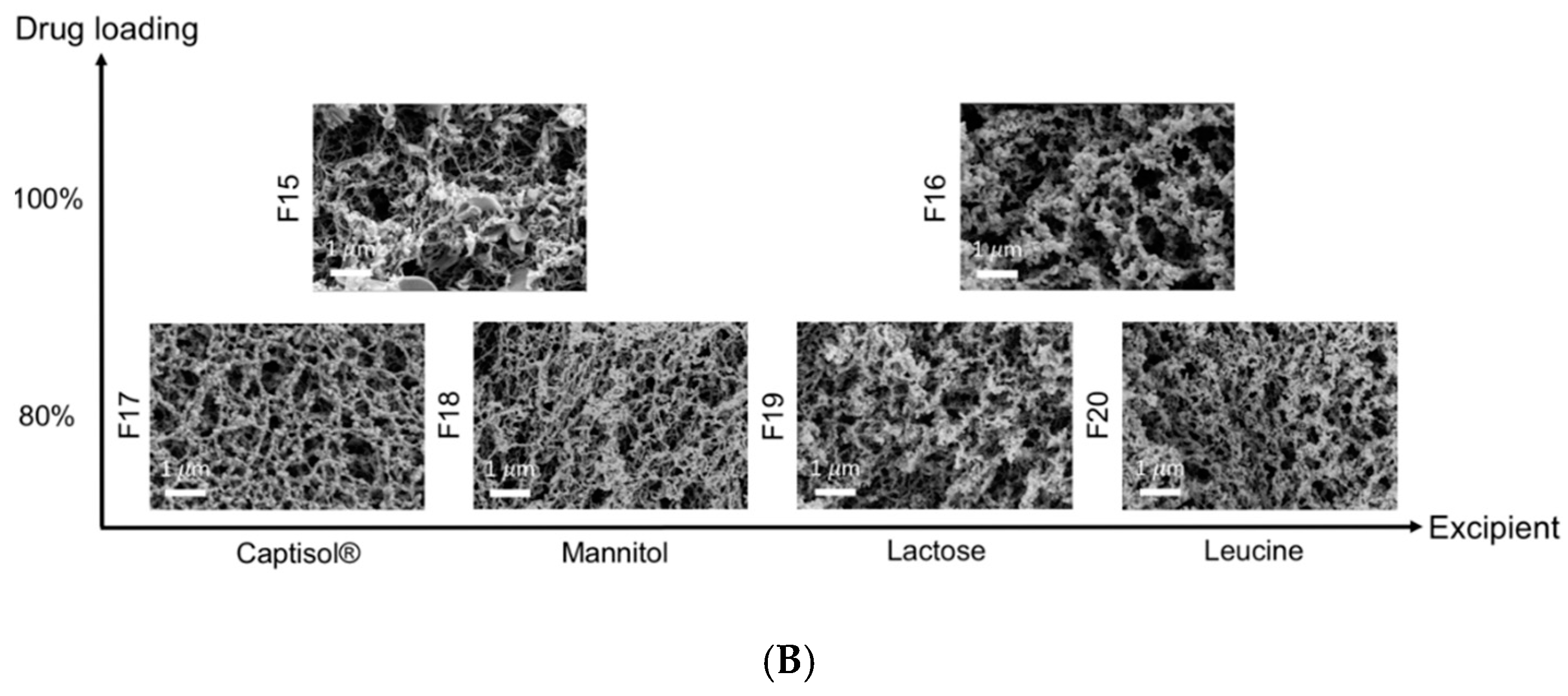 Pharmaceutics 12 01002 g001b Pharmaceutics 12 01002 g001b