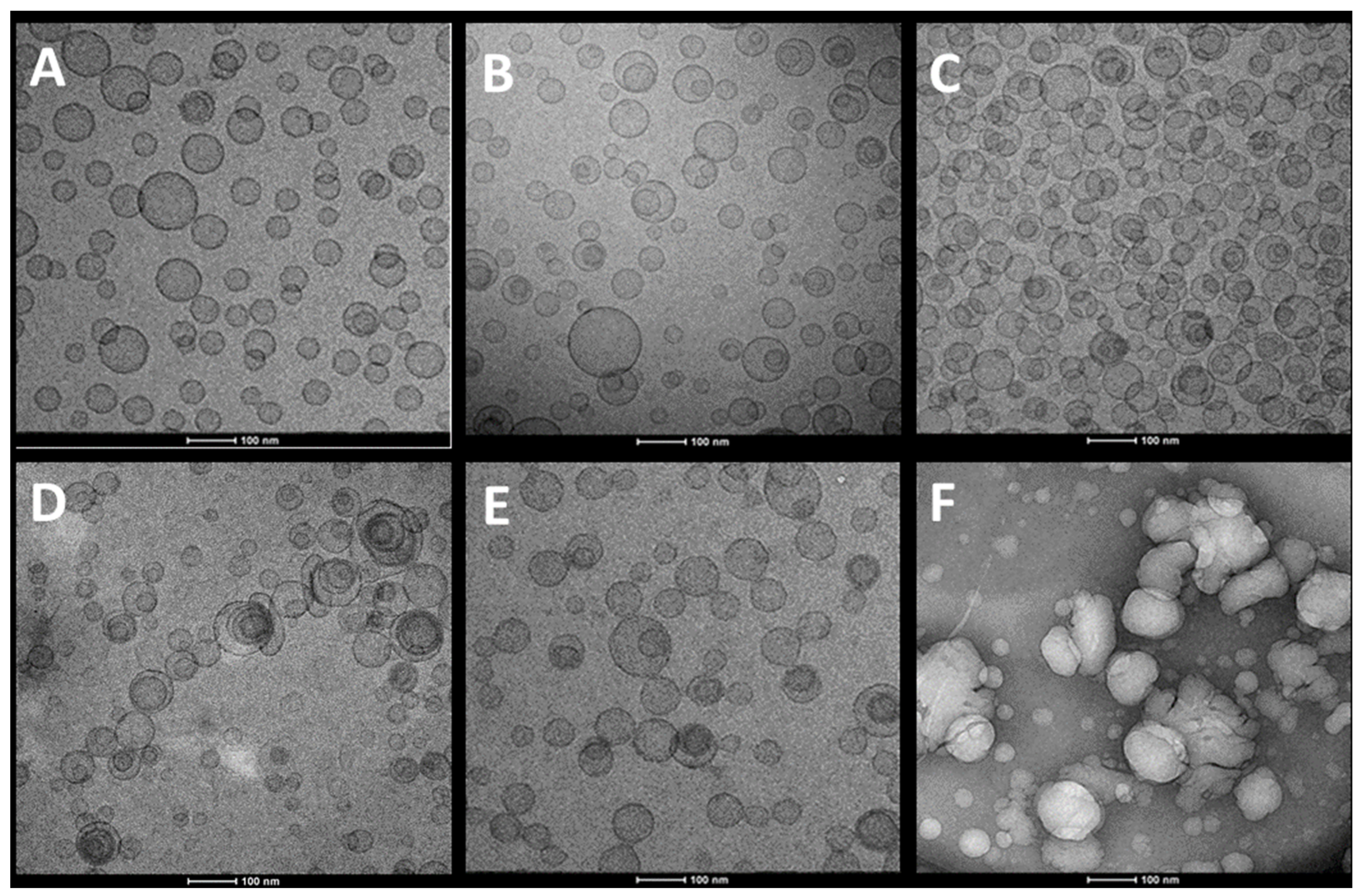 Pharmaceutics 12 01010 g002