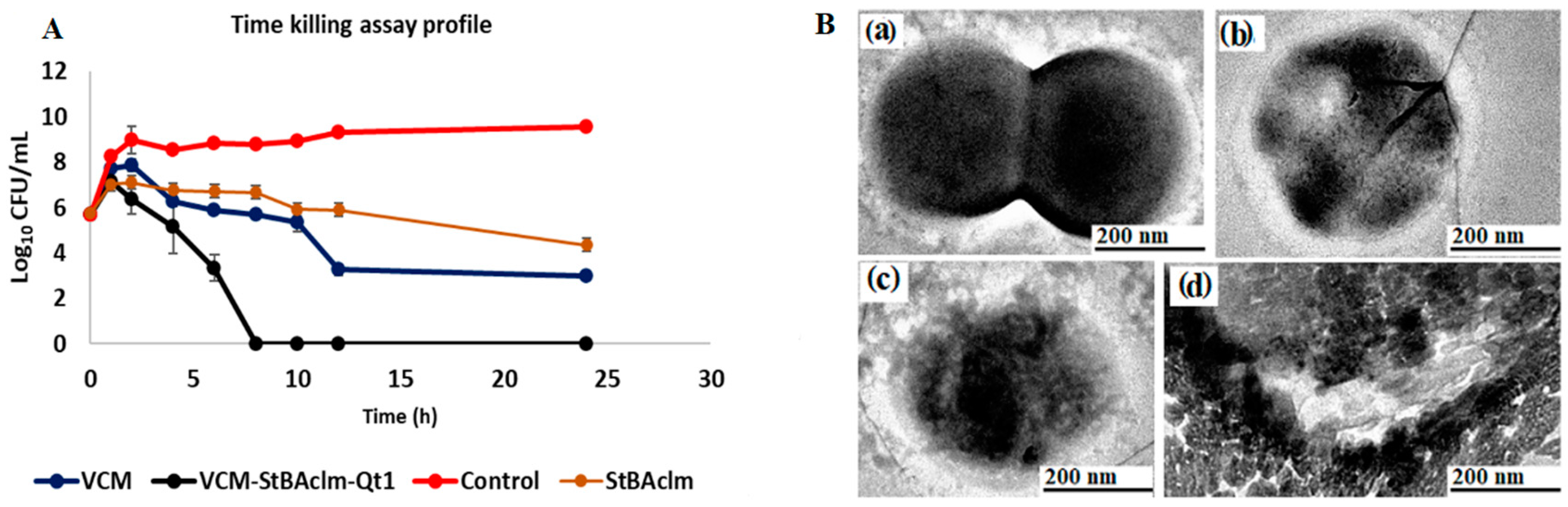 Pharmaceutics 12 01093 g007 Pharmaceutics 12 01093 g007