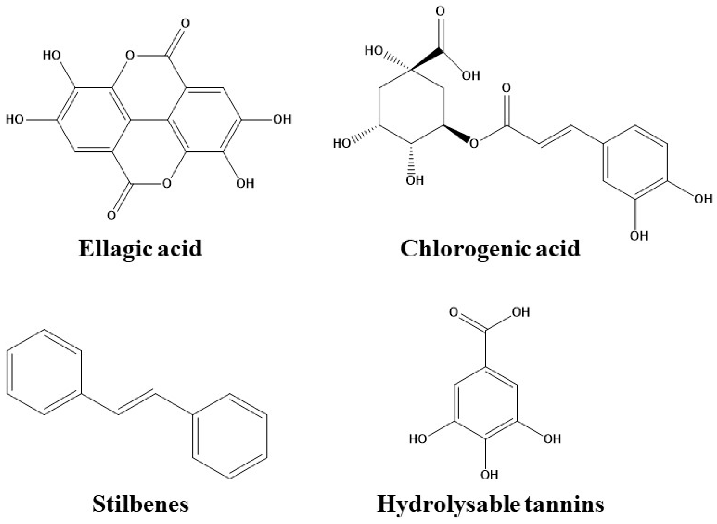 Pharmaceutics 12 01123 g002