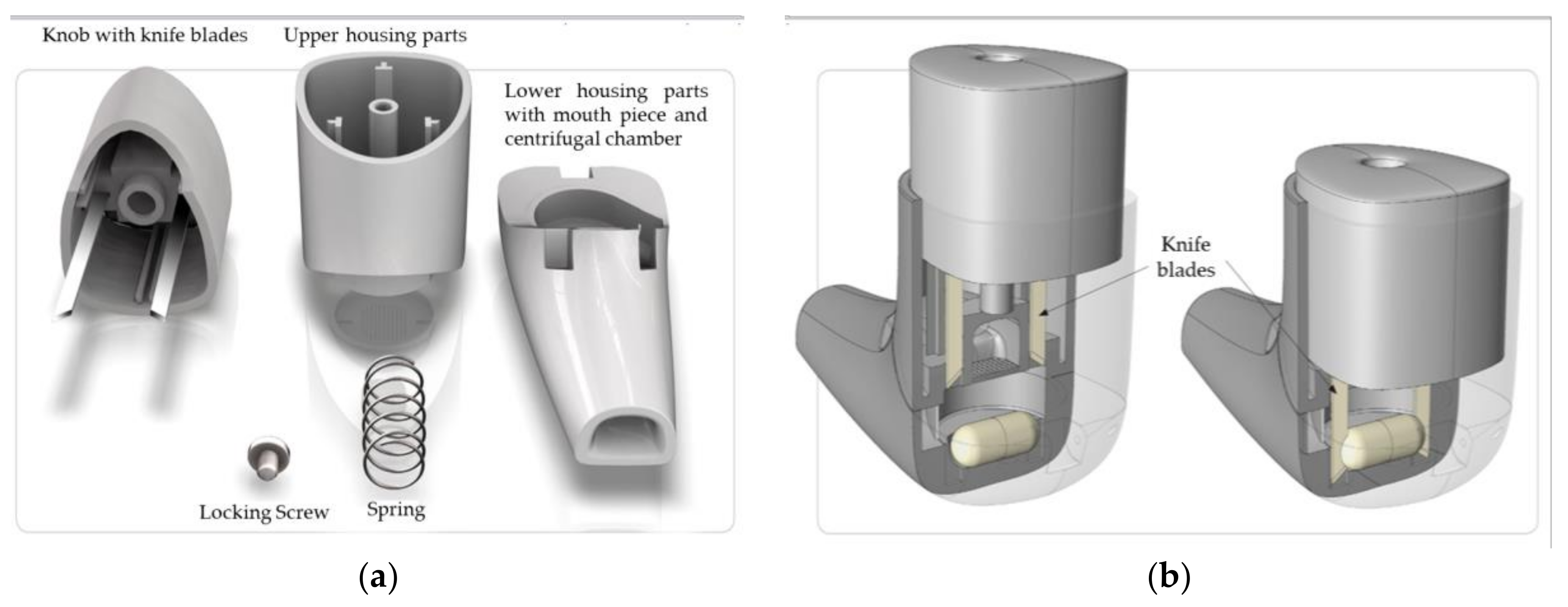 Pharmaceutics 12 01154 g002