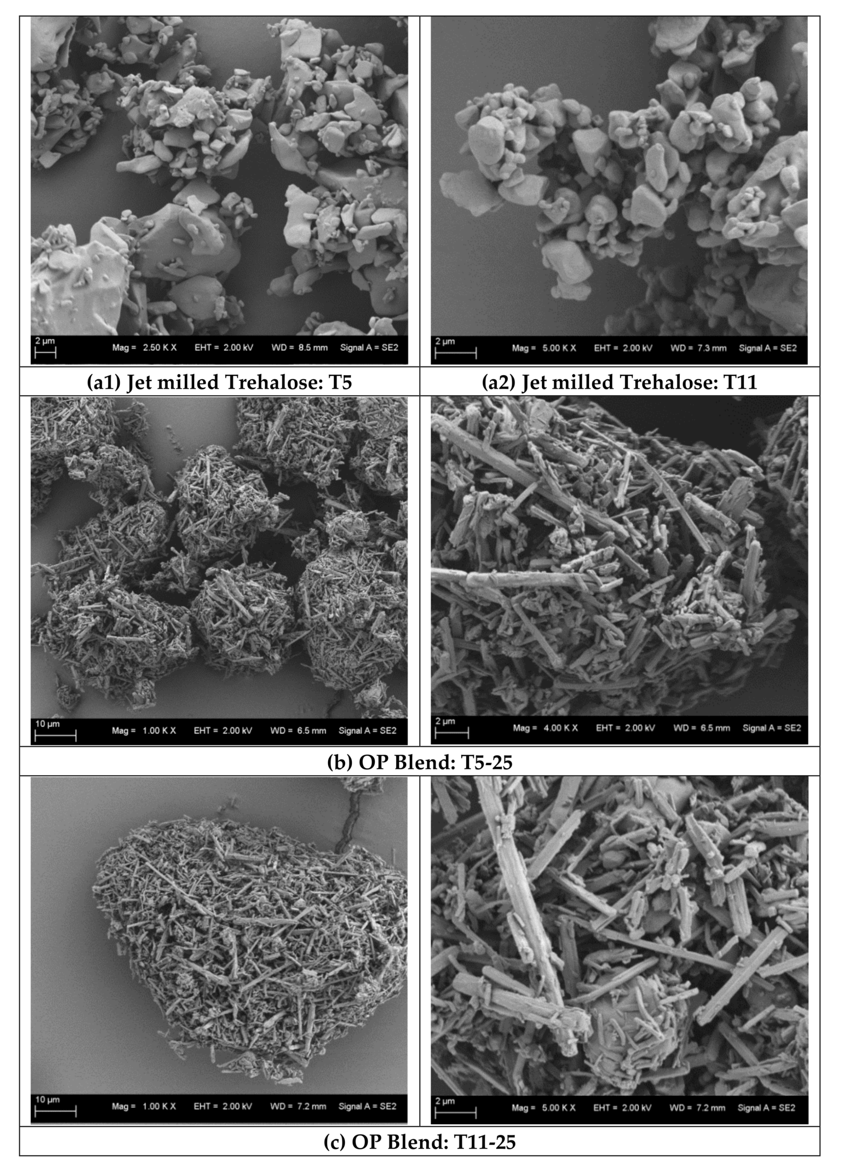 Pharmaceutics 12 01154 g004
