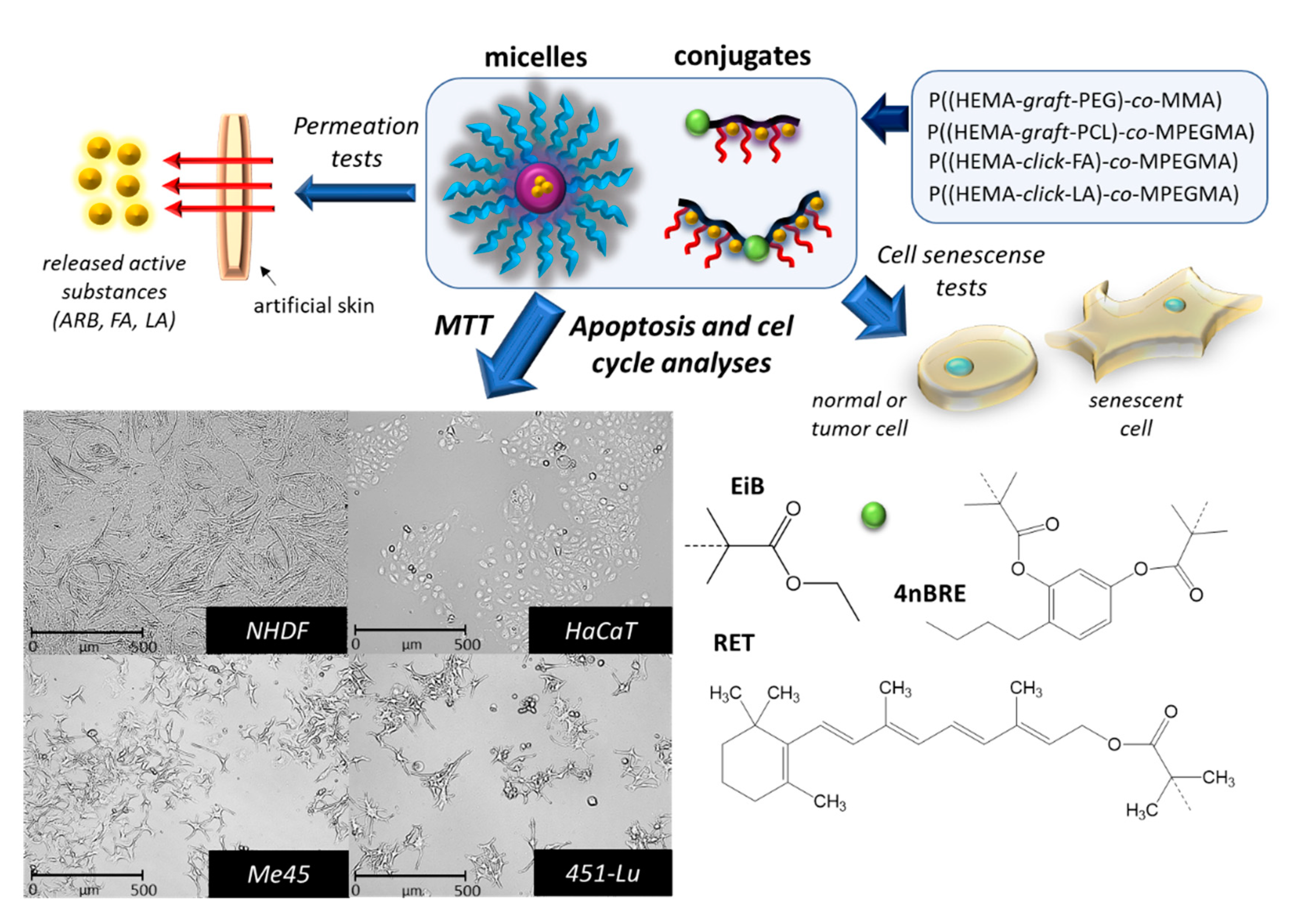 Pharmaceutics 12 01178 g002