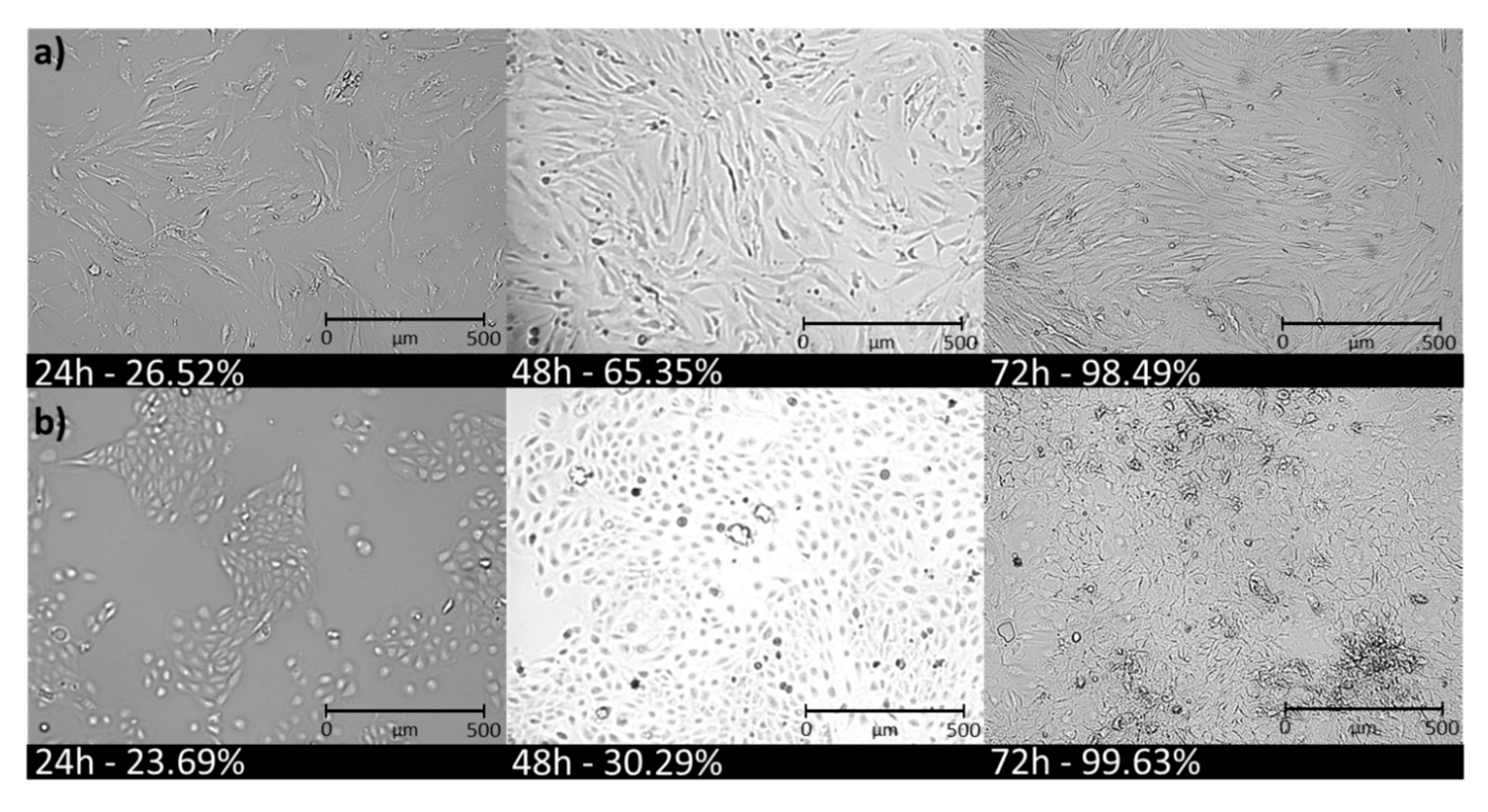 Pharmaceutics 12 01178 g006
