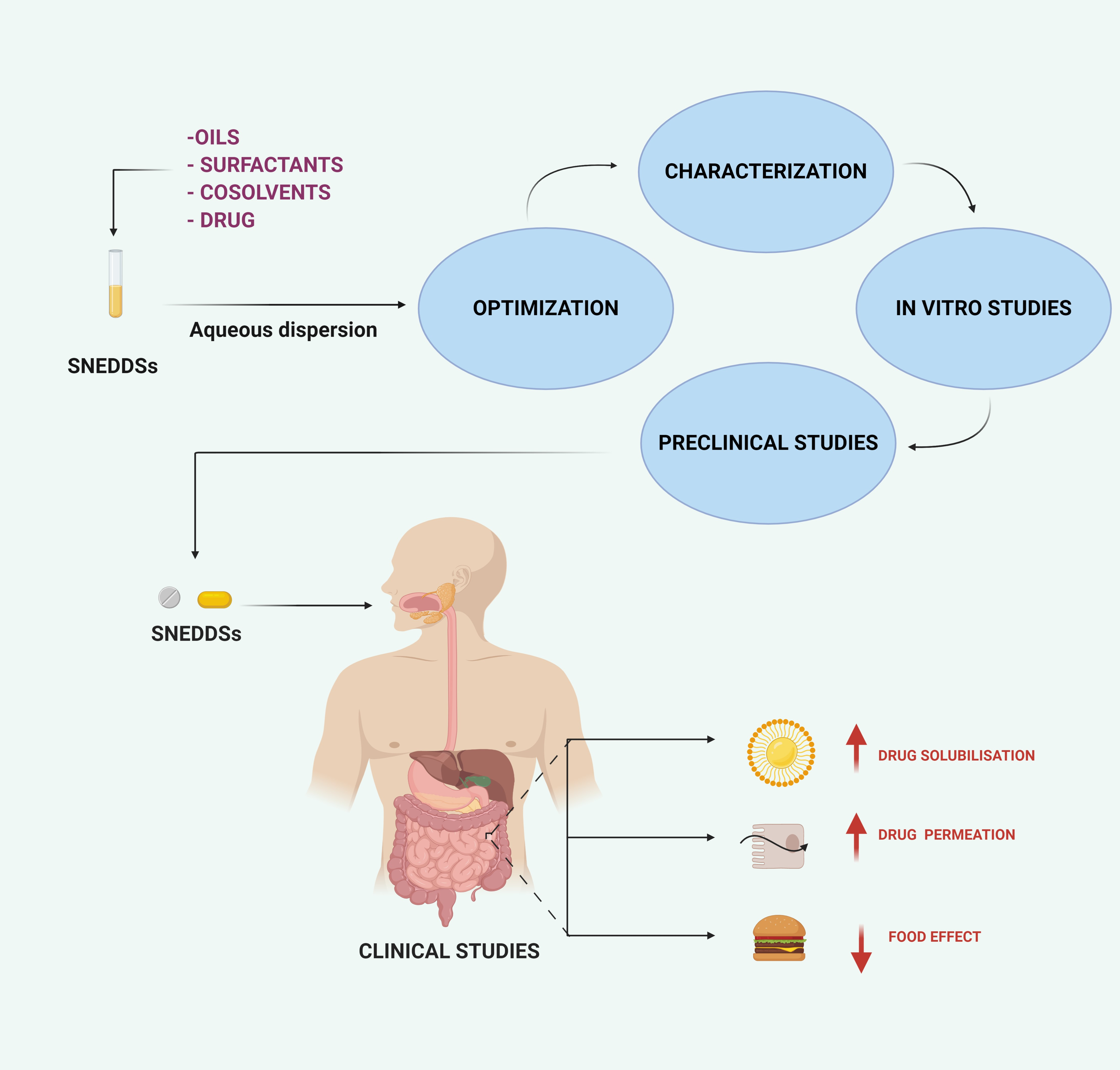 Pharmaceutics | Free Full-Text | Self-Nano-Emulsifying Drug-Delivery ...