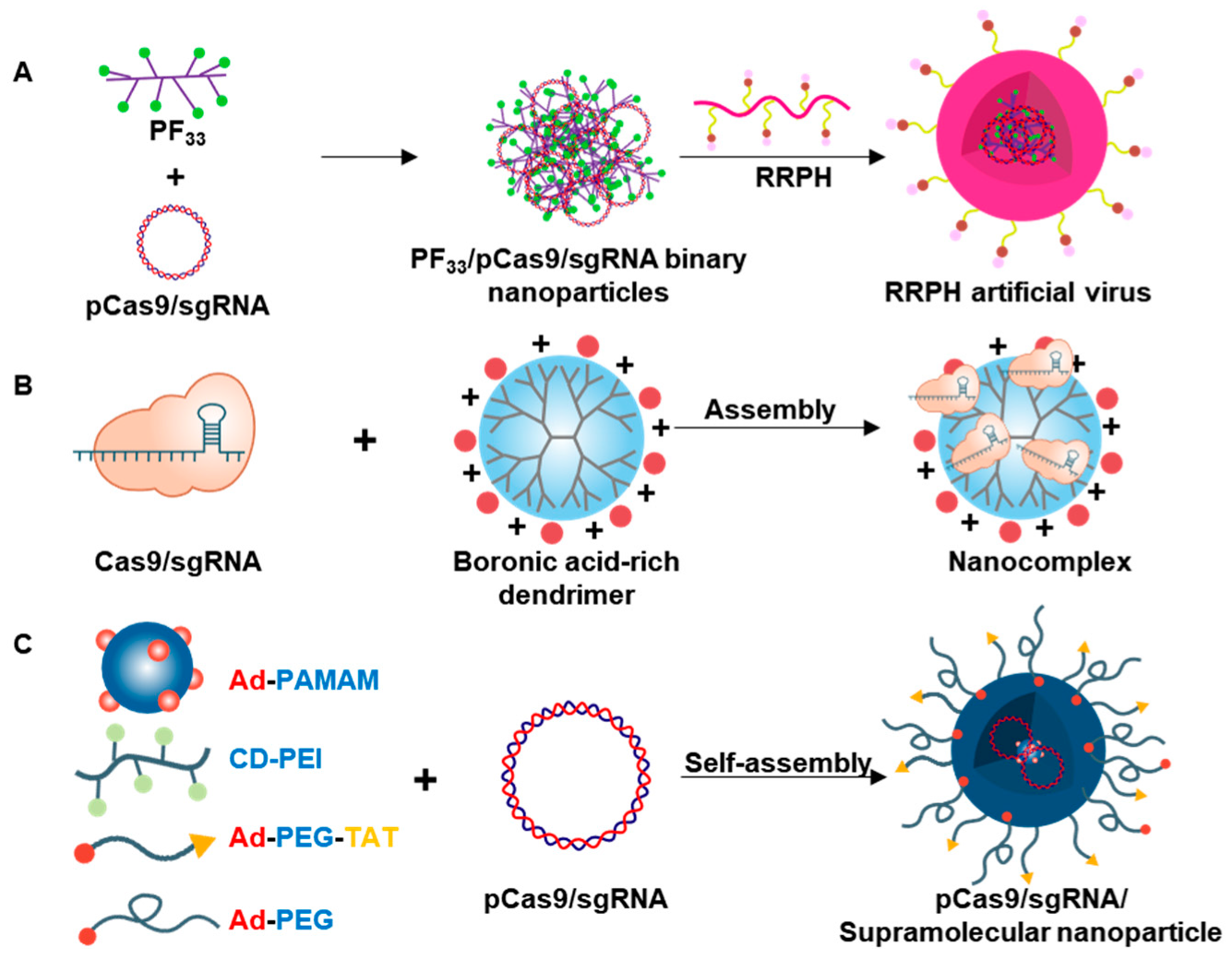 Pharmaceutics | Free Full-Text | Nanovesicle-Mediated Delivery Systems ...