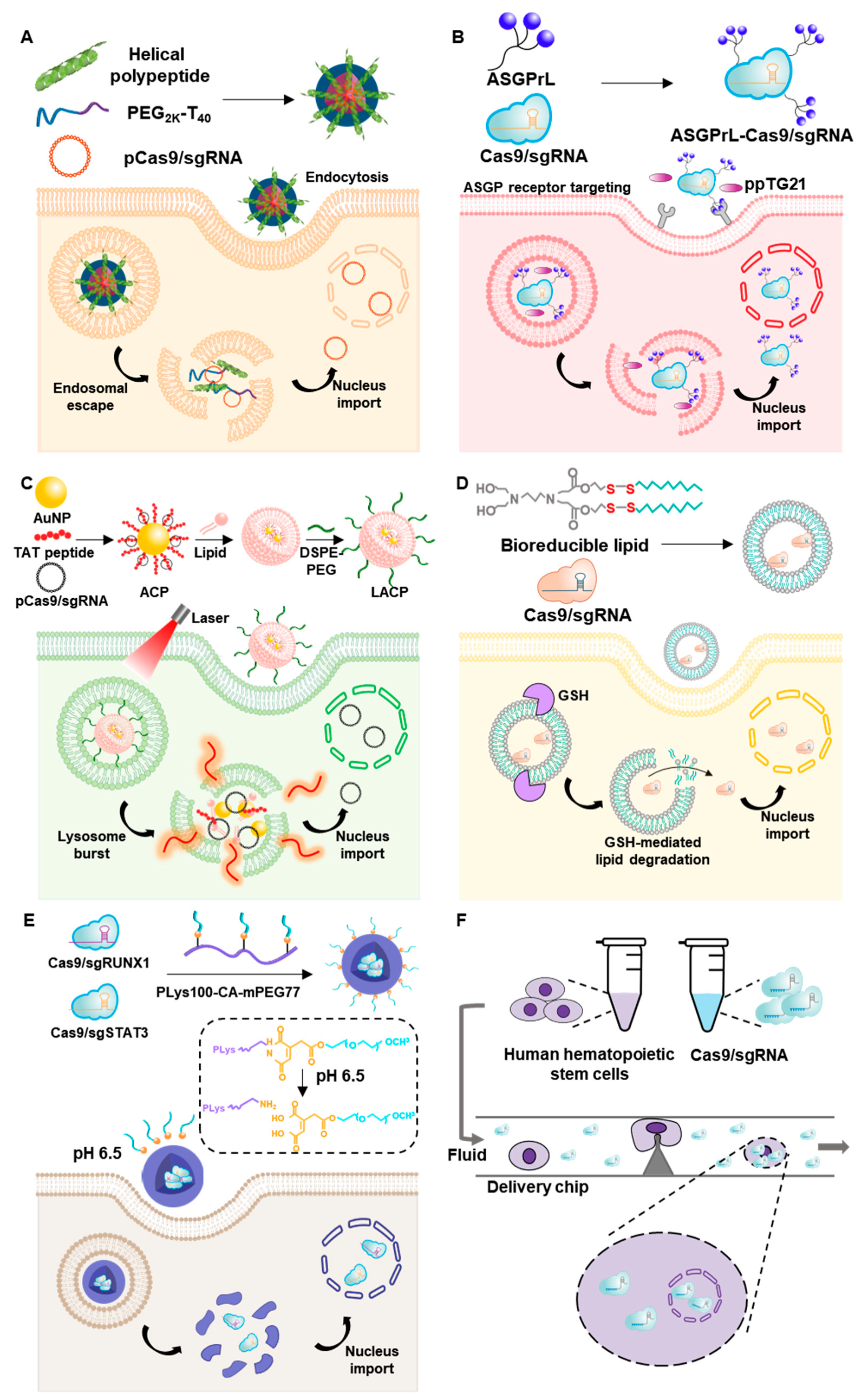 Pharmaceutics Free Full Text Nanovesicle Mediated Delivery Systems For Crispr Cas Genome Editing Html