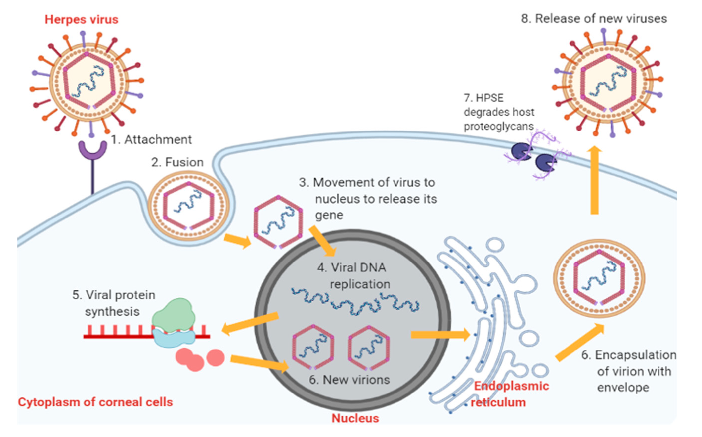 Pharmaceutics | Free Full-Text | Advancement on Sustained Antiviral ...