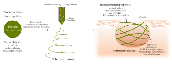 Pharmaceutics | Free Full-Text | Electrospinning Proteins for Wound Healing  Purposes: Opportunities and Challenges | HTML