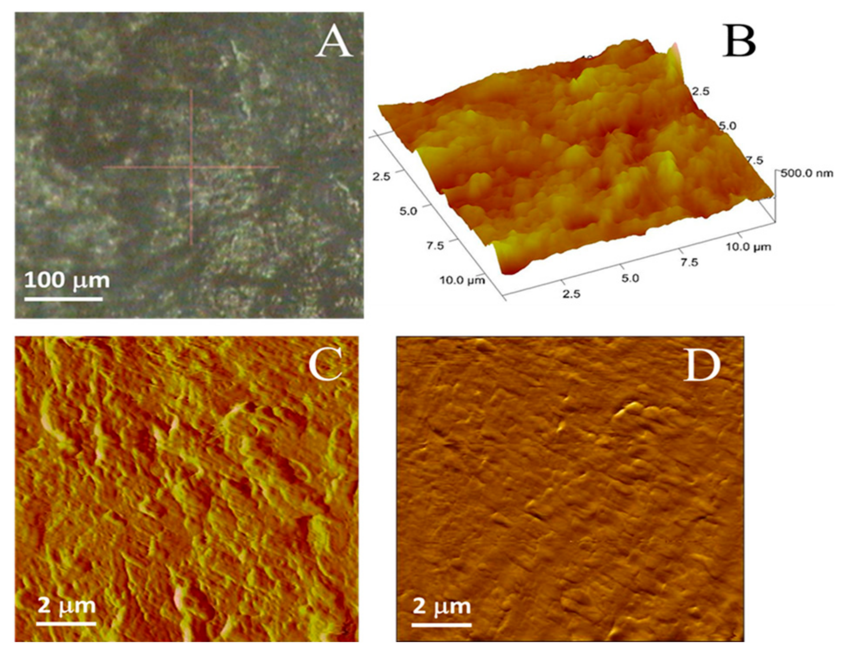 Pharmaceutics 13 00008 g006