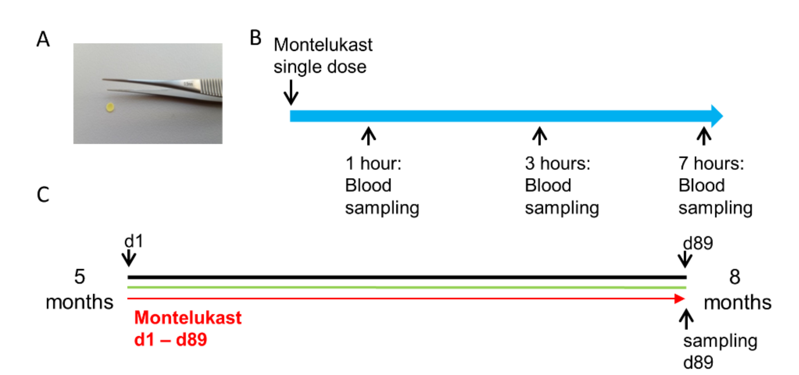 Pharmaceutics Free Full Text Improved Bioavailability of