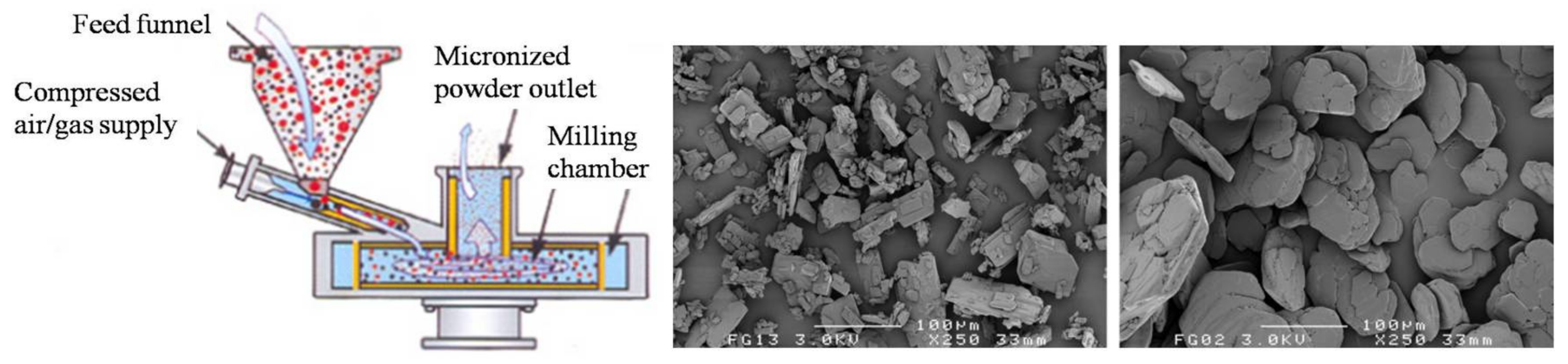 Pharmaceutics 13 00031 g003