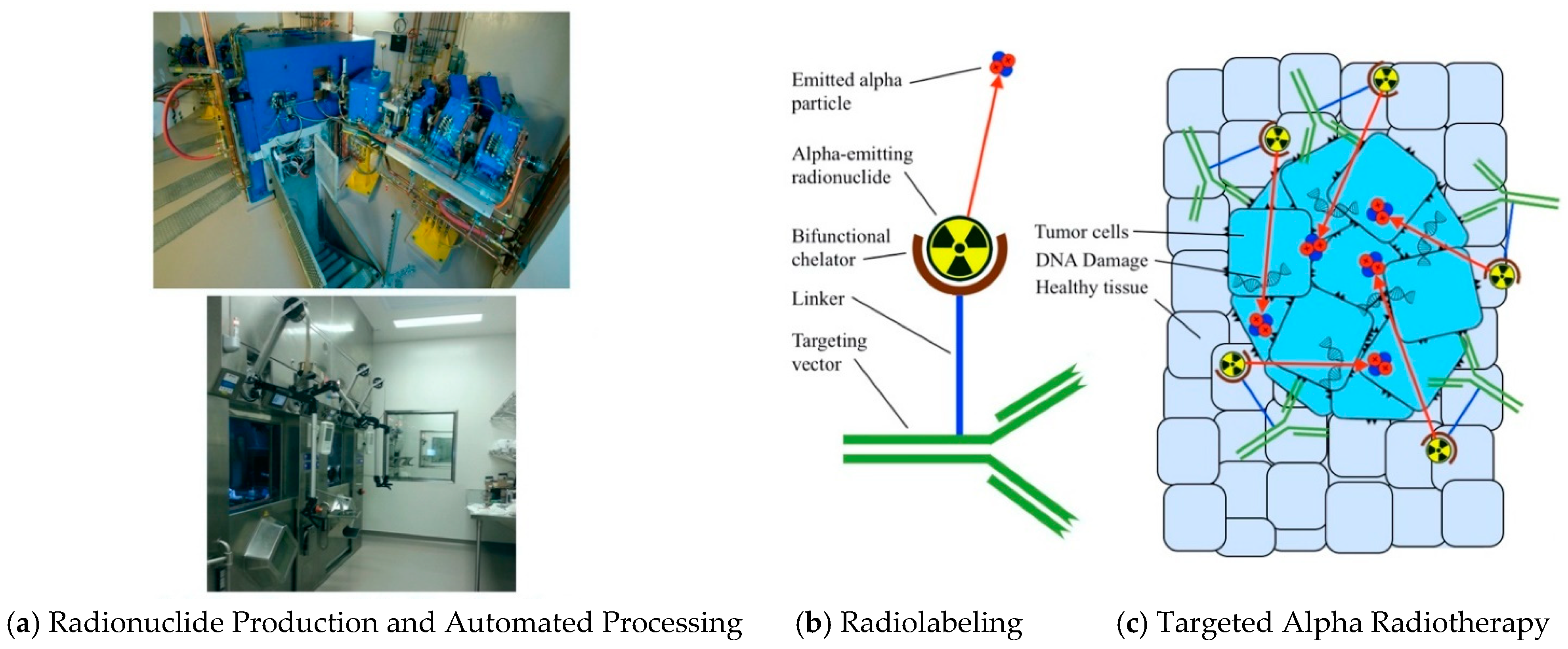 Pharmaceutics | Free Full-Text | Targeted Alpha Therapy: Progress in  Radionuclide Production, Radiochemistry, and Applications
