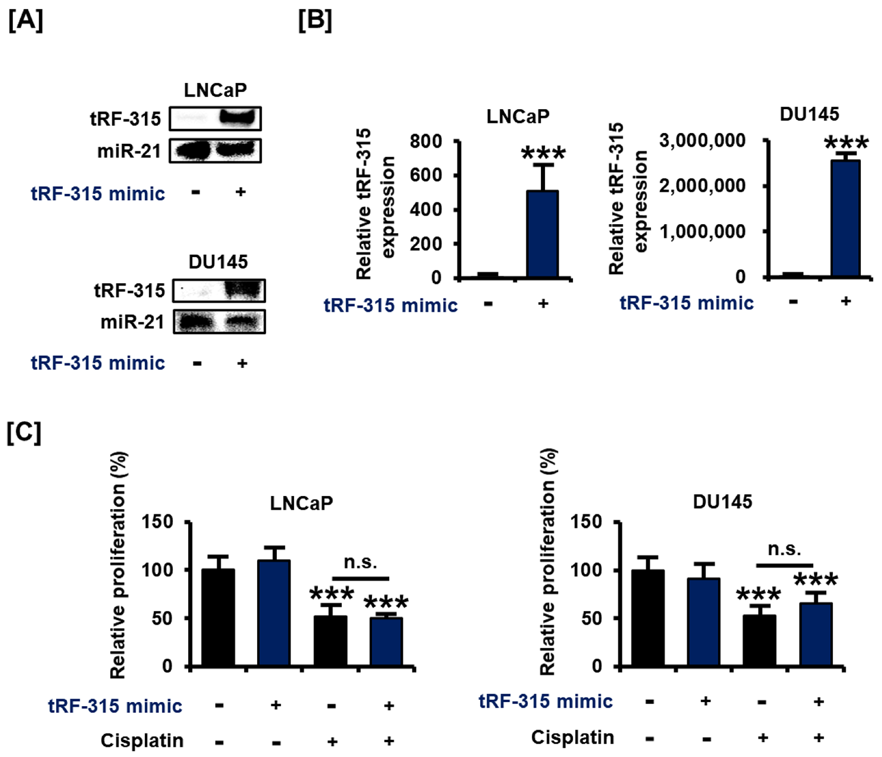 Pharmaceutics 13 00055 g002