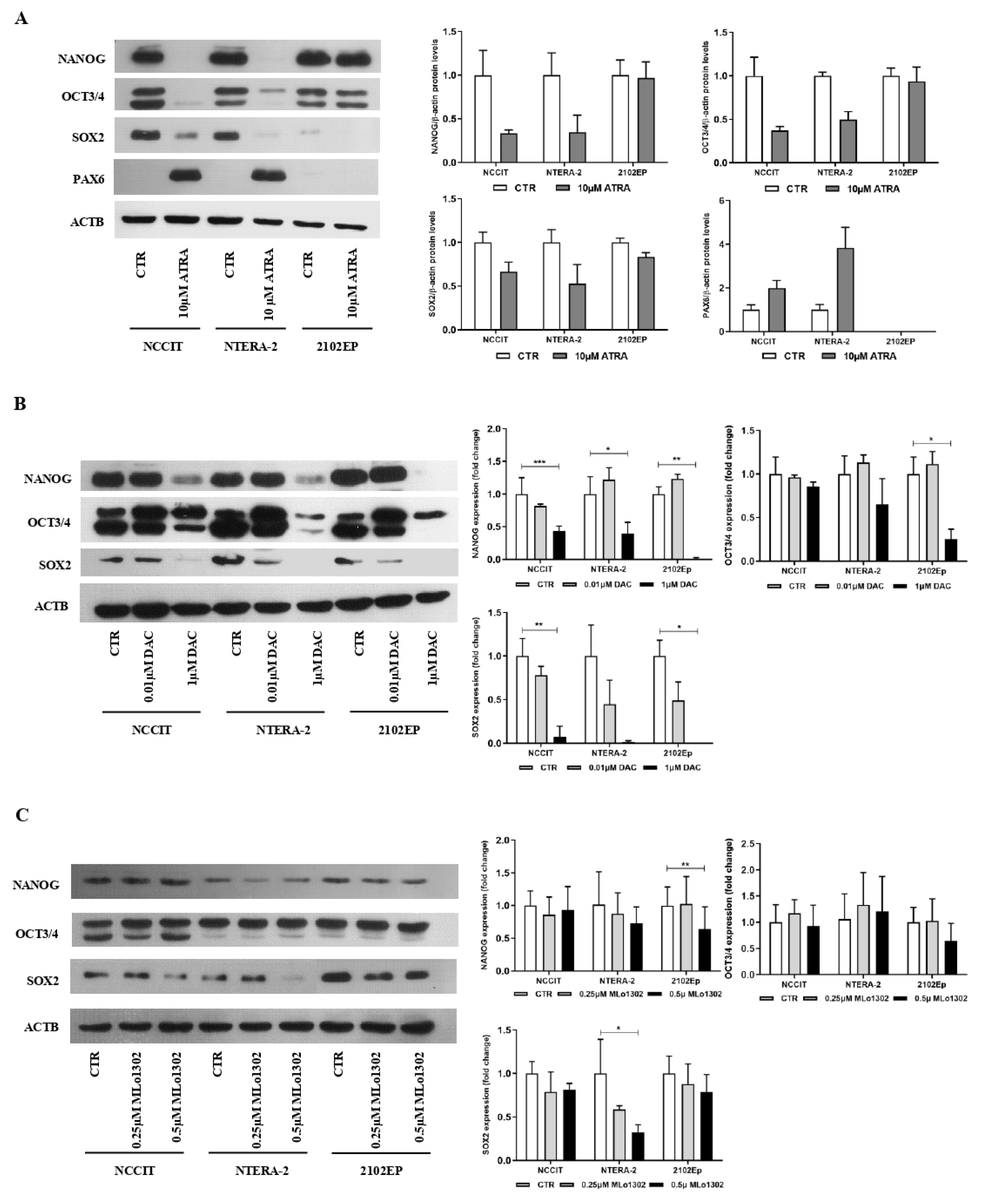 Pharmaceutics 13 00073 g003