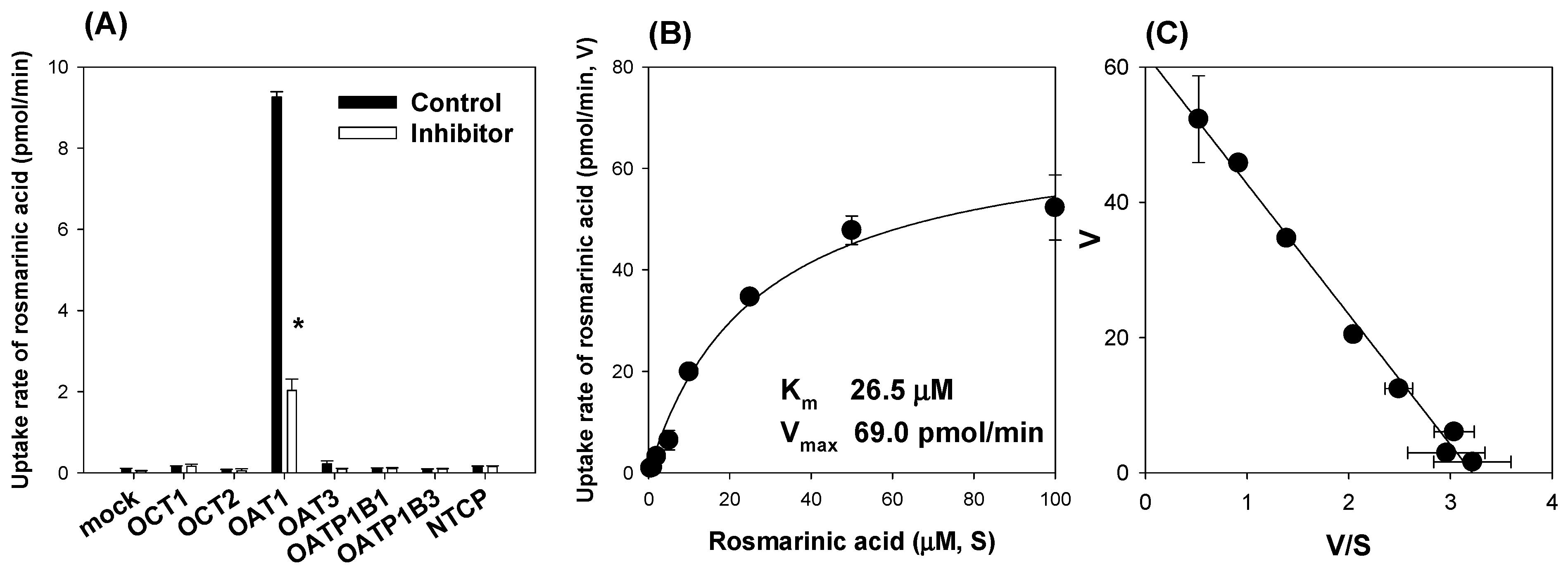 Pharmaceutics 13 00083 g003 Pharmaceutics 13 00083 g003