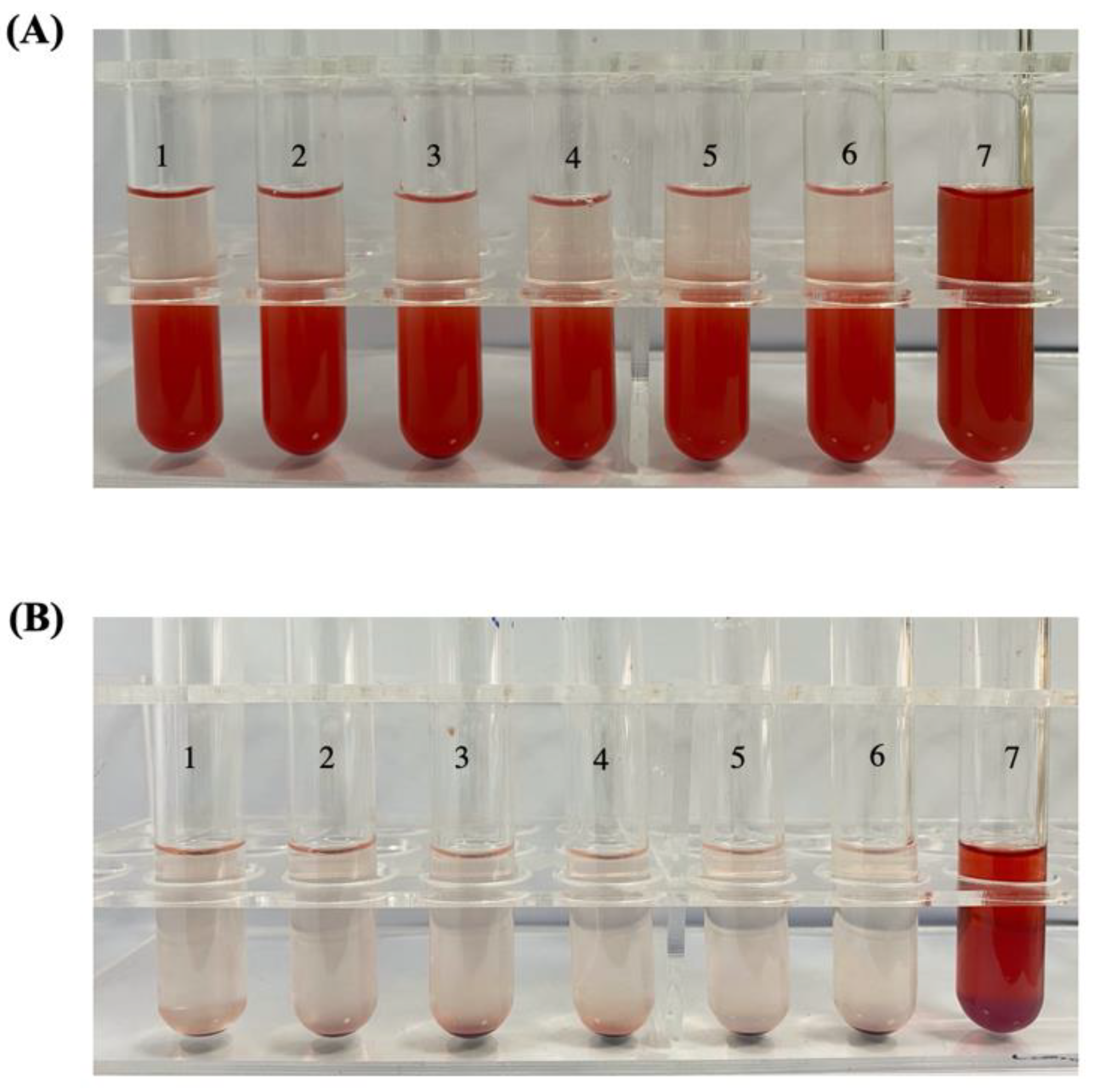 Pharmaceutics 13 00099 g005
