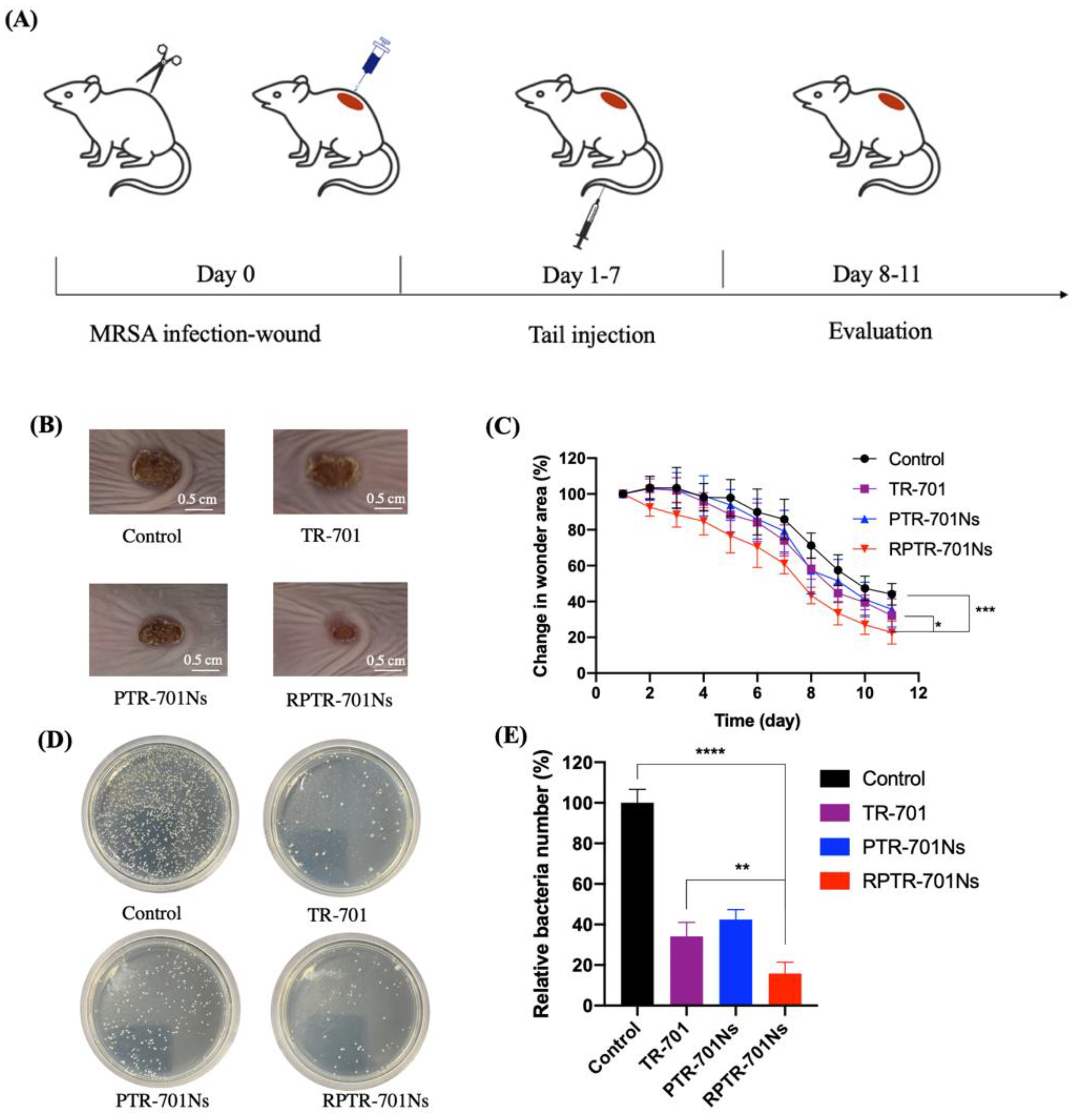 Pharmaceutics 13 00099 g010a