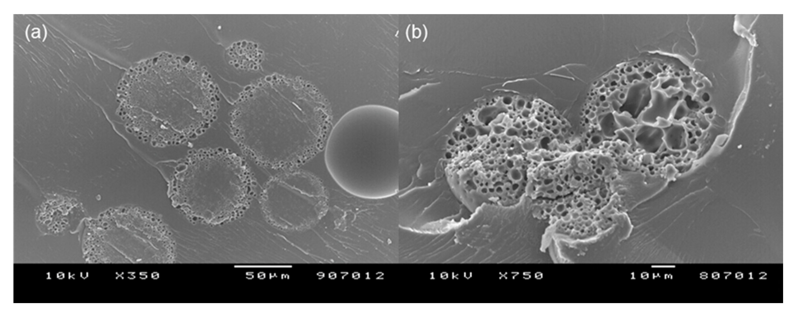 Pharmaceutics 13 00137 g010